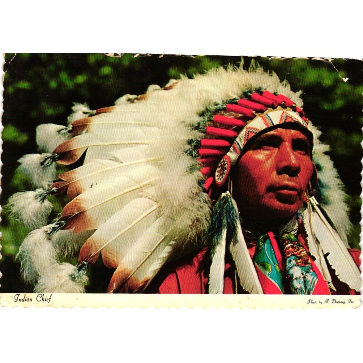 Vintage Indian Chief Postcard Dexter Press Chrome Scalloped Edge Native American