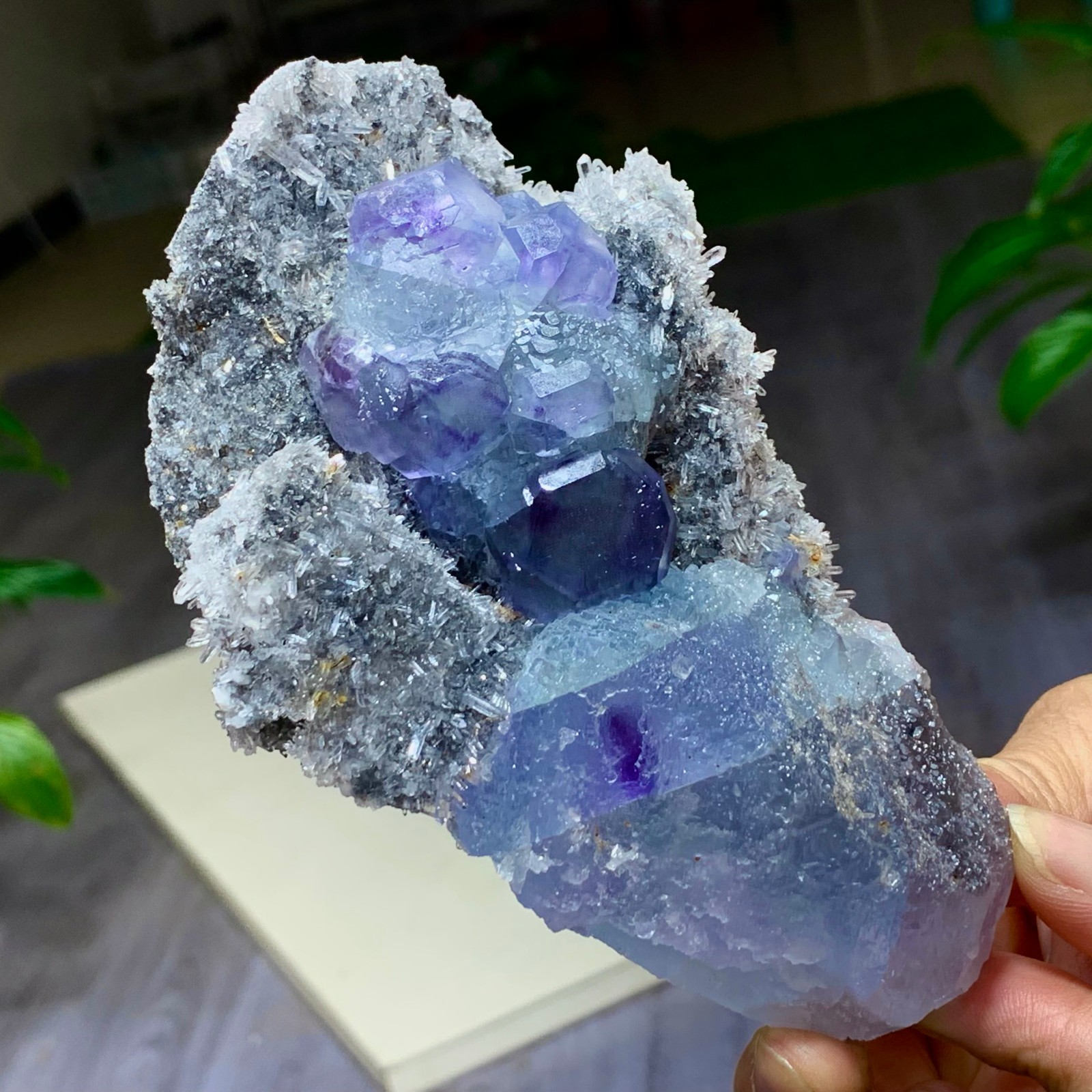 497G Natural Rare transparent purple cubic fluorite mineral crystal /China