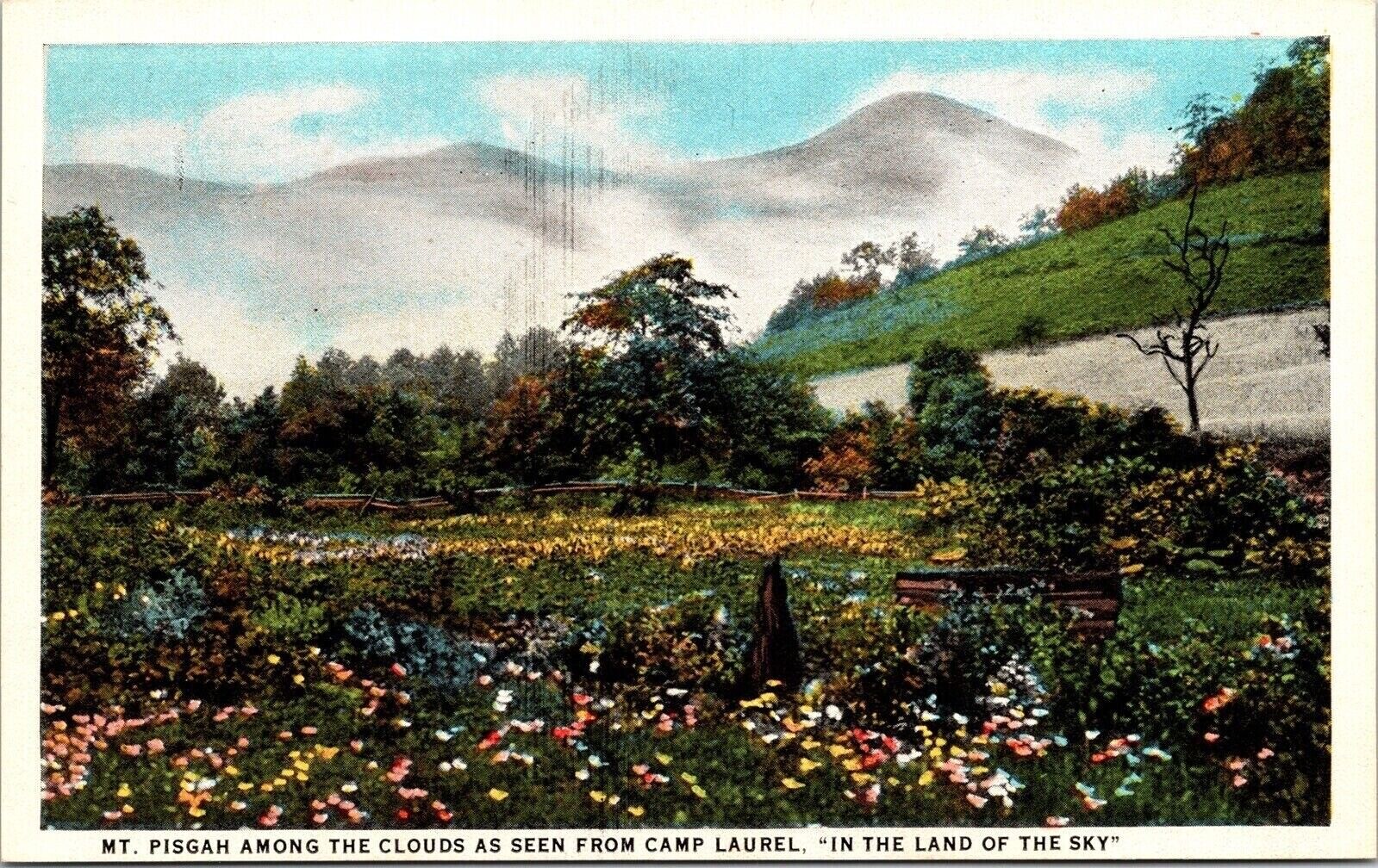 Mt Pisgah Clouds Camp Laurel Land Sky WB Postcard VTG UNP Curt Teich Vintage