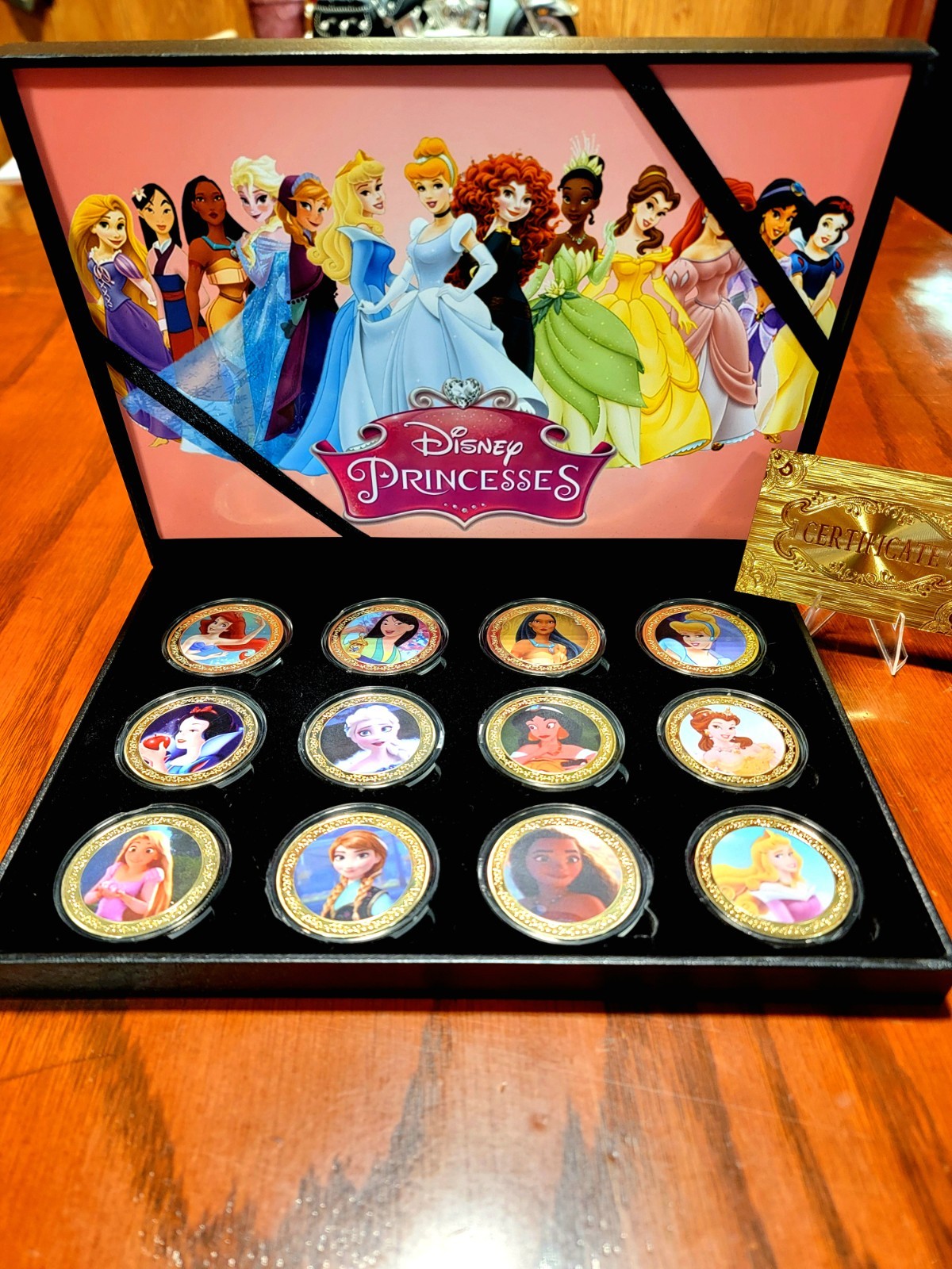 Disney Princess 24K Gold Plated..12 Piece Collectors Set ..VERY Hard To Find Disney Princess 24K Gold Plated..12 Piece Collectors Set ..VERY Hard To Find