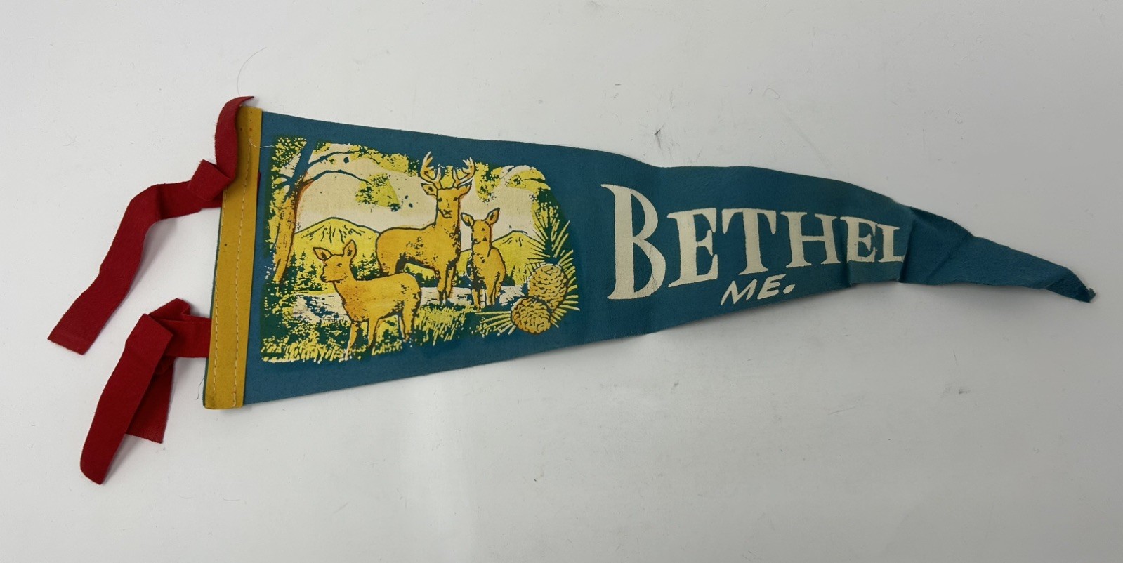 Vintage Bethel Maine 17