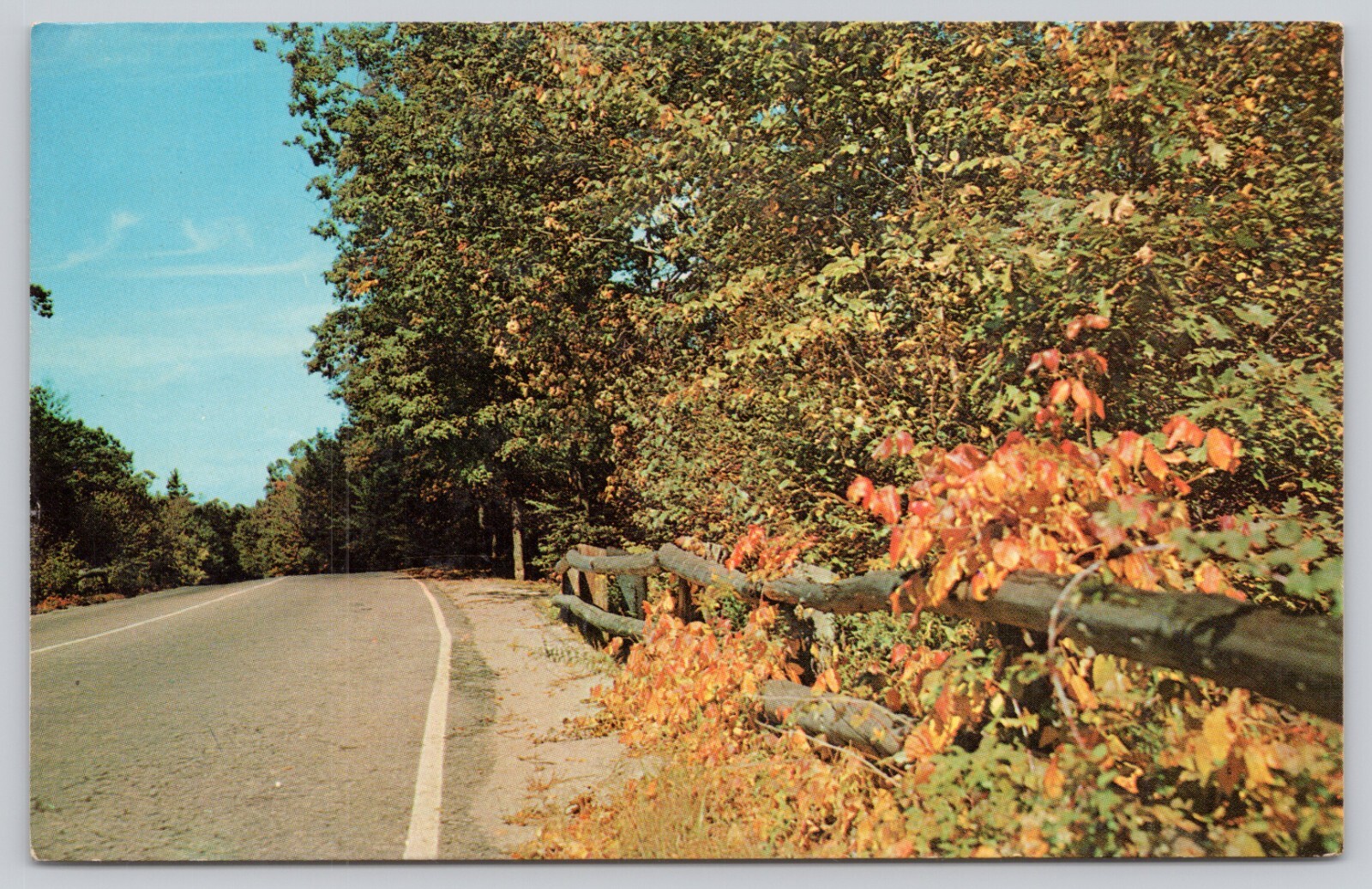 Postcard Gretting from Grand Marsh, Wisconsin Road View