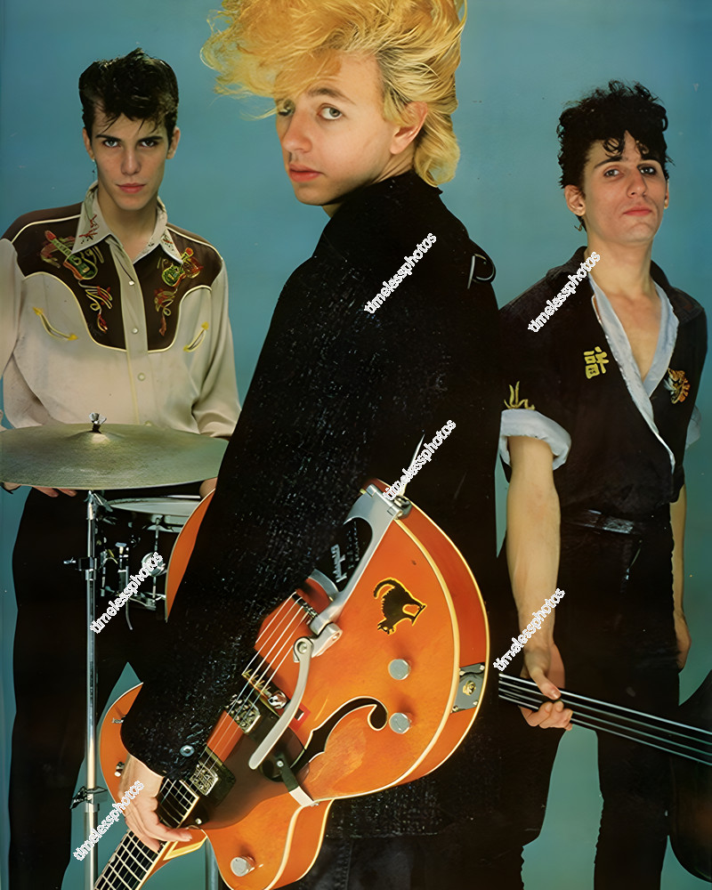 THE STRAY CATS BAND MUSICIANS 8 THE STRAY CATS BAND MUSICIANS 8