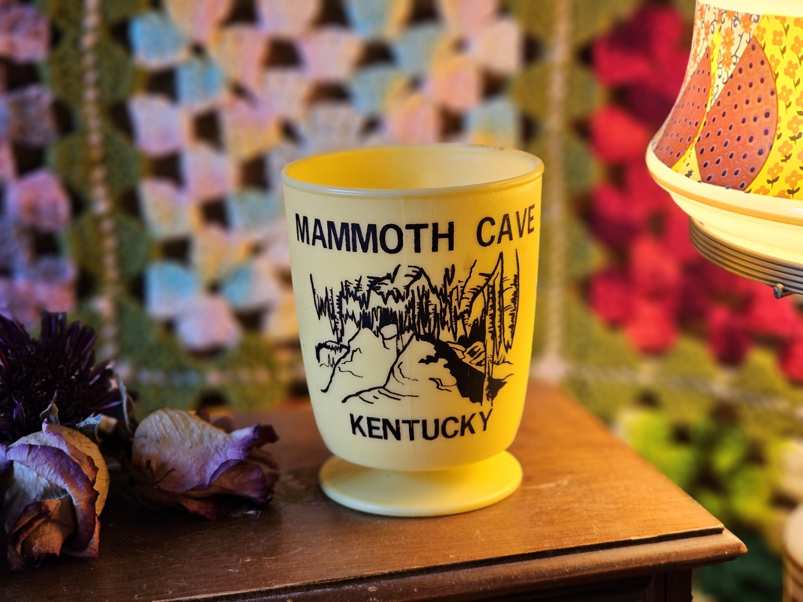 Vintage Mammoth Cave Kentucky Souvenir Mug Cup Whirley Industries Warren PA USA