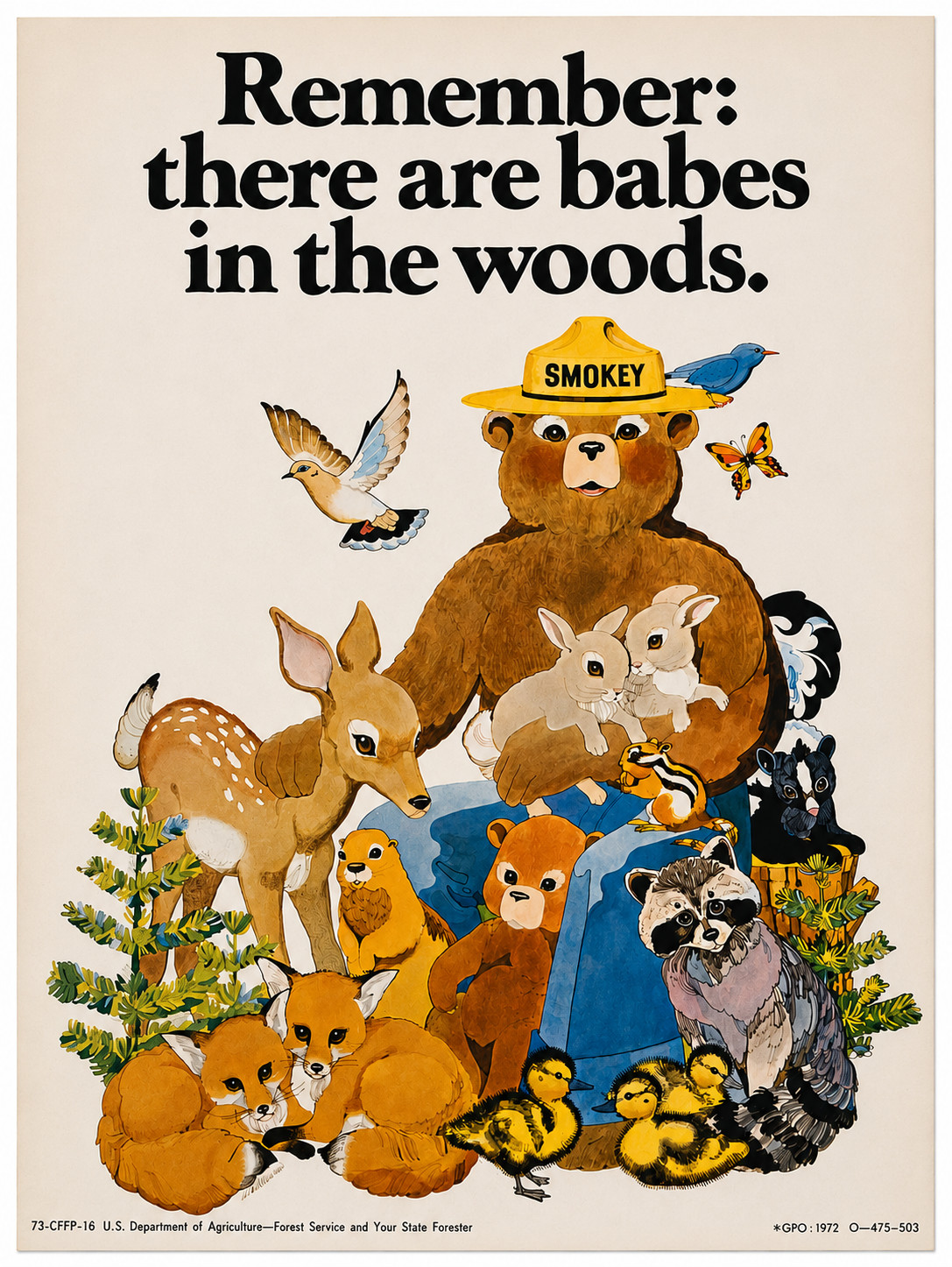 Vintage 1970 Forest Remember there are babes in the woods USDA Poster 13x18.5