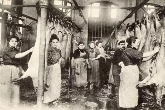 Parisian Abattoir - La Villette 1908 4x6 Illustration Photo
