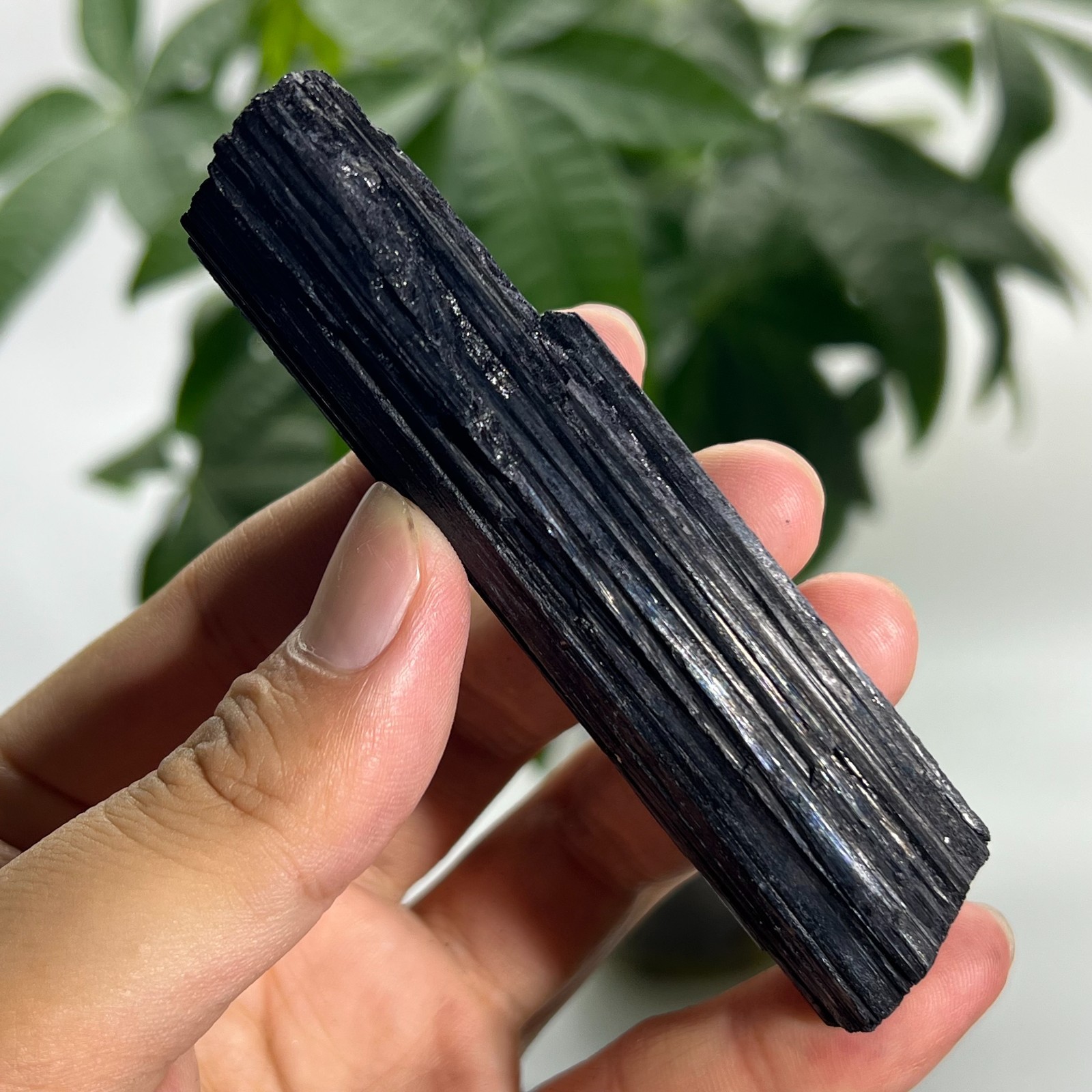 160g Rough Natural Black Tourmaline Quartz Crystal Mineral Specimen Healing