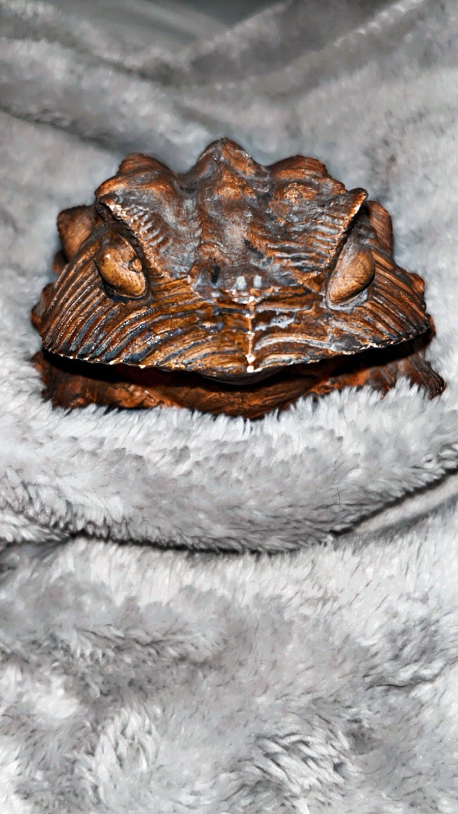 Japanese Vintage Cryptomeria/Sugi wood carved toad Japanese Vintage Cryptomeria/Sugi wood carved toad