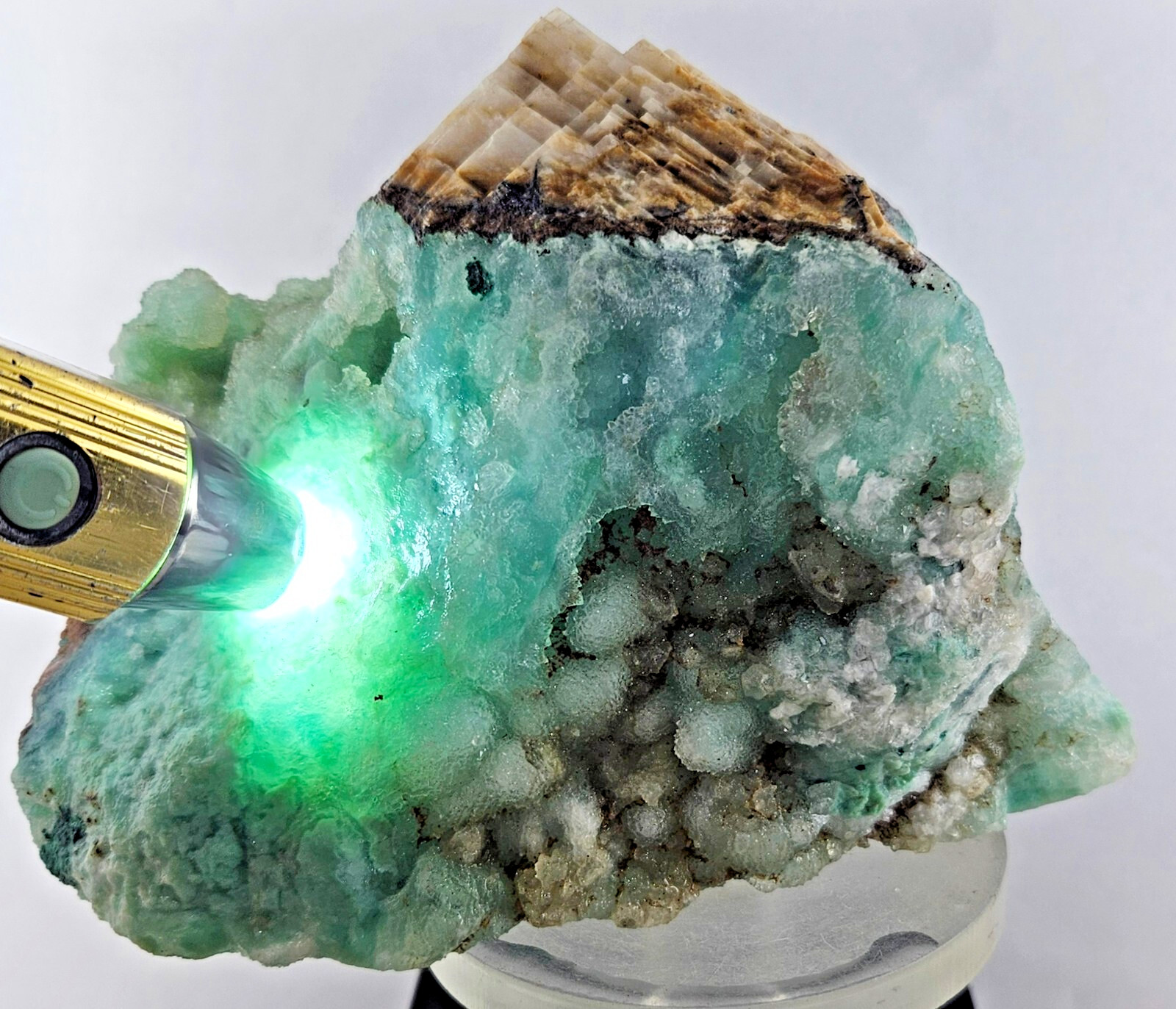 15cms DRUZY CHRYSOCOLLA GEM SILICA BOTRYOIDAL LILY MINE PERU DB94