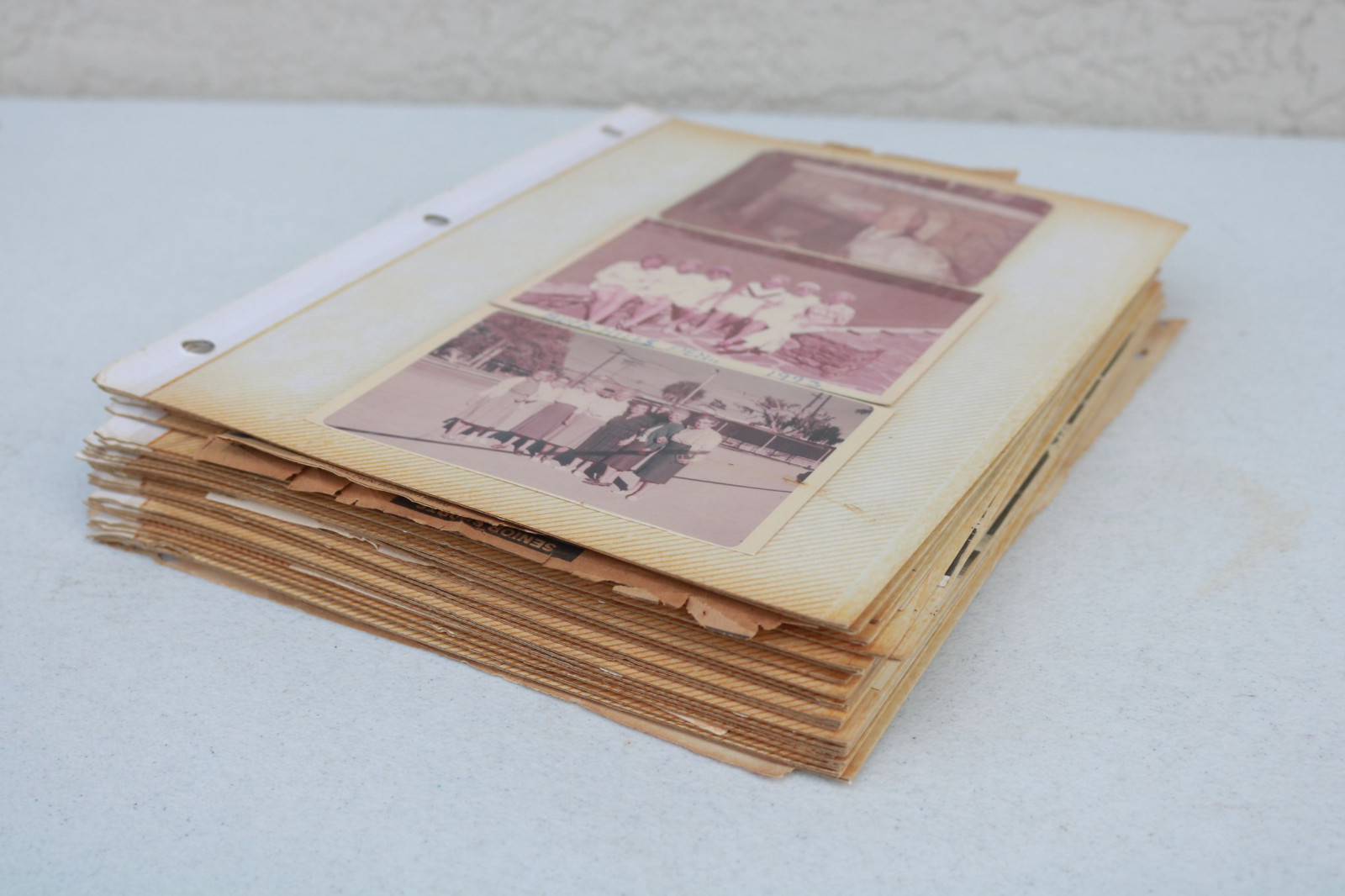Vintage LAWN bowling BOWLS Scrapbook Photos BW BRADENTON FL 1930 -70 History NH
