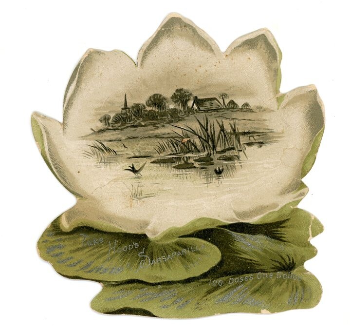 1880s-90s Die-Cut Water Lily Pad Lake Scene Bird's Hood's Sarsaparilla
