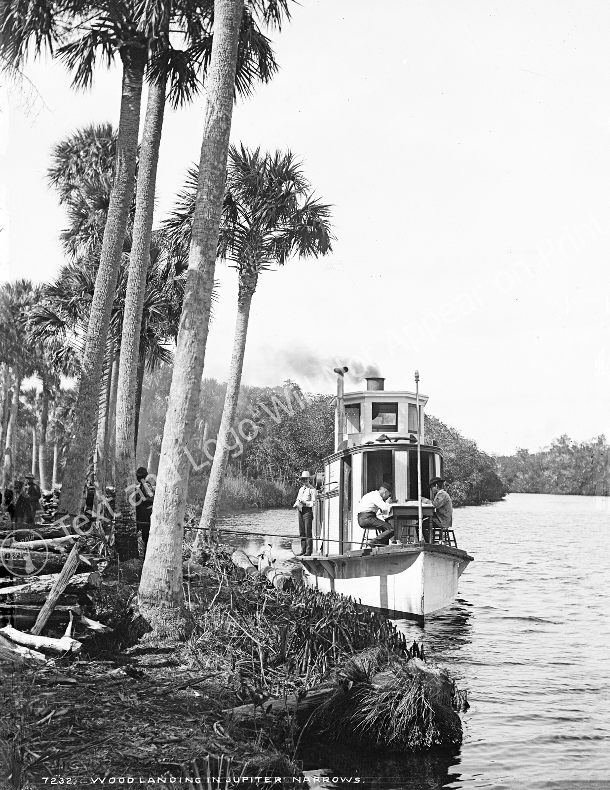 1880-1897 Wood Landing in Jupiter Narrows, Florida Old Photo 8.5 1880-1897 Wood Landing in Jupiter Narrows, Florida Old Photo 8.5
