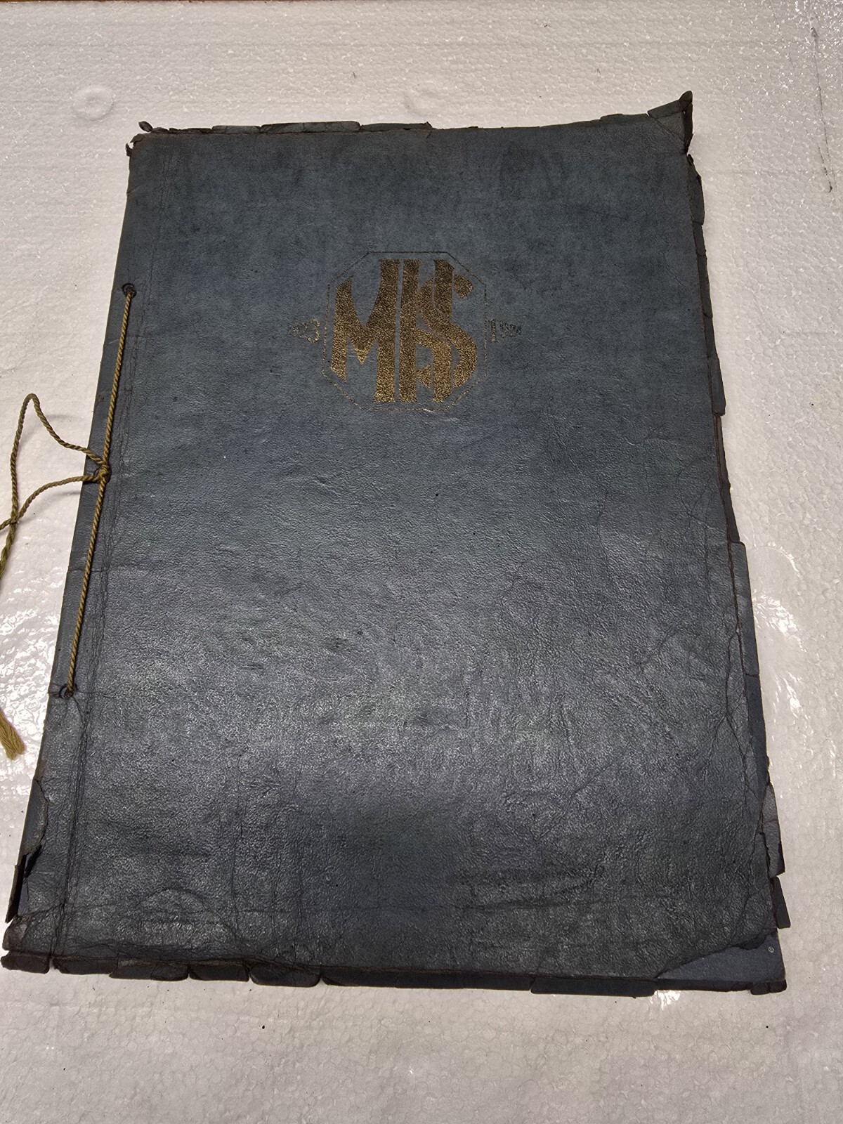 1923-1924 Magnolia High School Yearbook New Martinsville West Virginia WV Antiqu