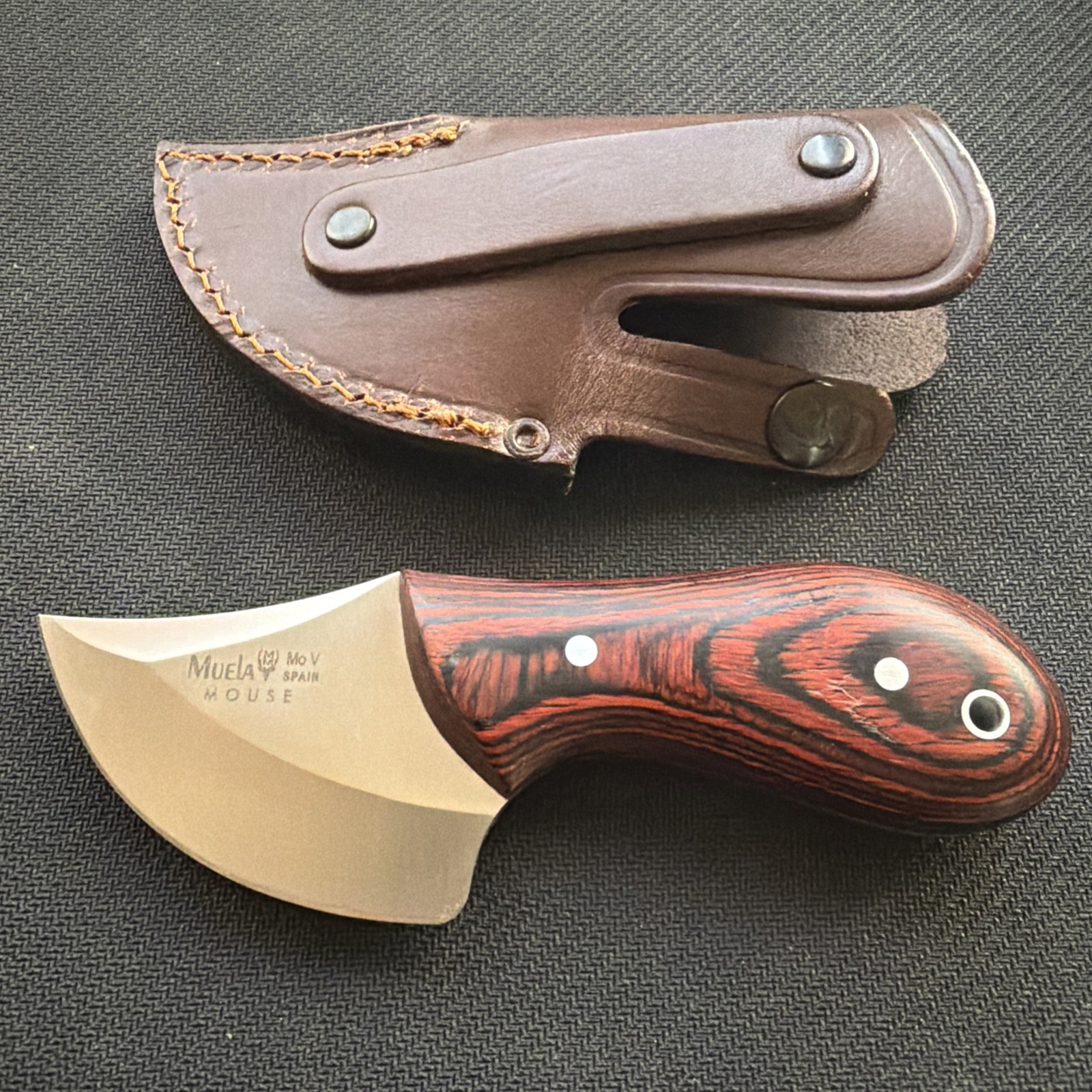 Muela Knives MOUSE-6r Fixed Blade - coral pakkawood/ Leather Sheath new no box Muela Knives MOUSE-6r Fixed Blade - coral pakkawood/ Leather Sheath new no box