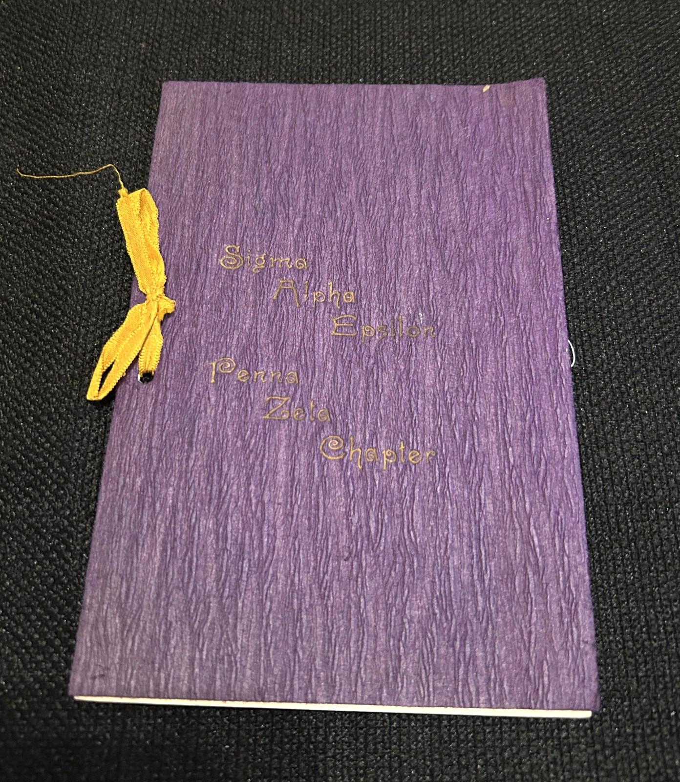 ANTIQUE Sigma Alpha Epsilon fraternity 1902 Bucknell chapter Symposium program