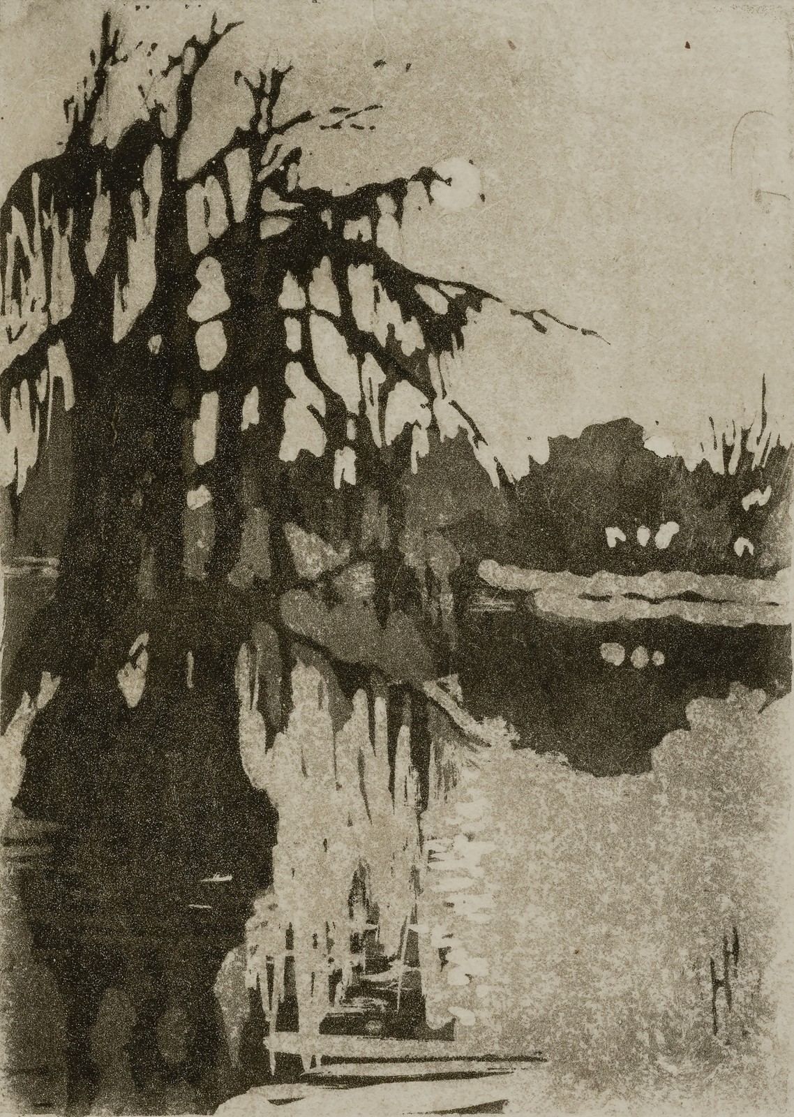 Helen Hyde Cypress Trees Vintage 1910s Nature Photo Reprint Wall Art