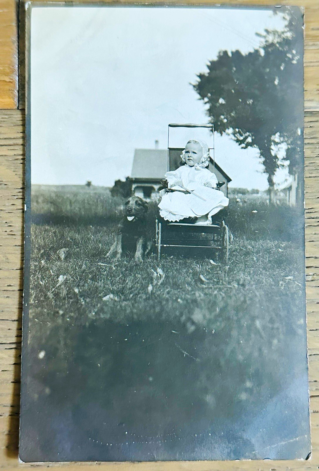 Vintage RPPC Baby In Go-Cart With Dog Farmhouse AZO Unposted c1910s Adorable 