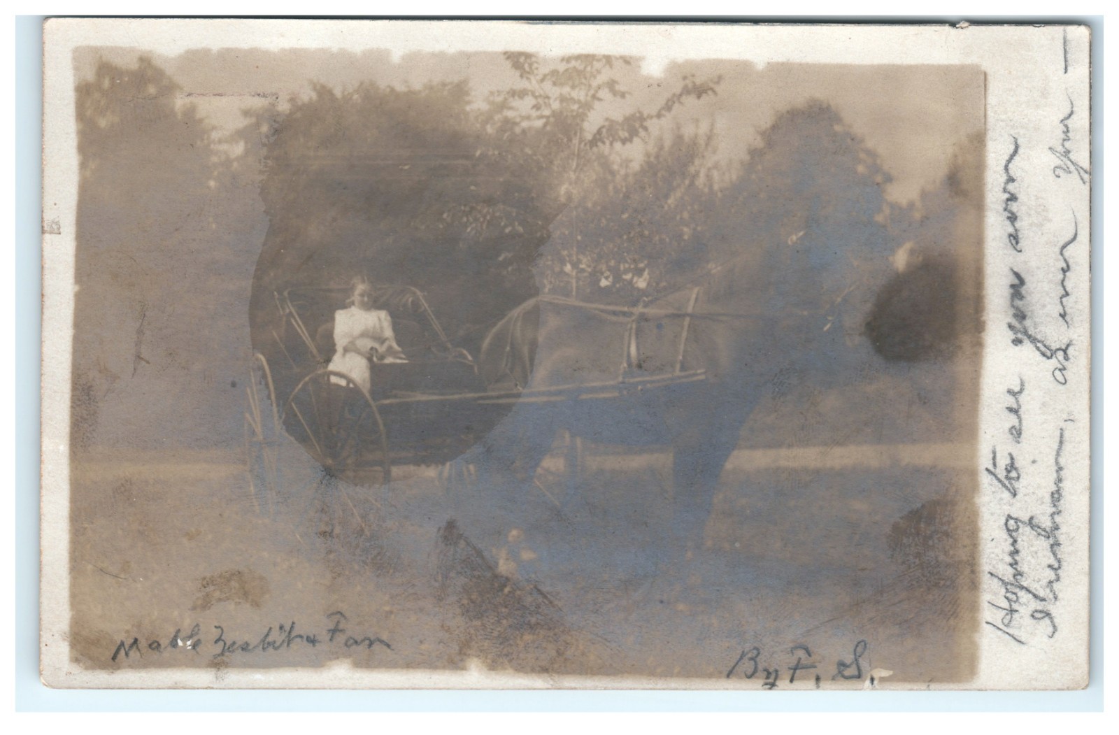 1906 Borodino New York Young Girl Horse Carriage RPPC 1906 Borodino New York Young Girl Horse Carriage RPPC