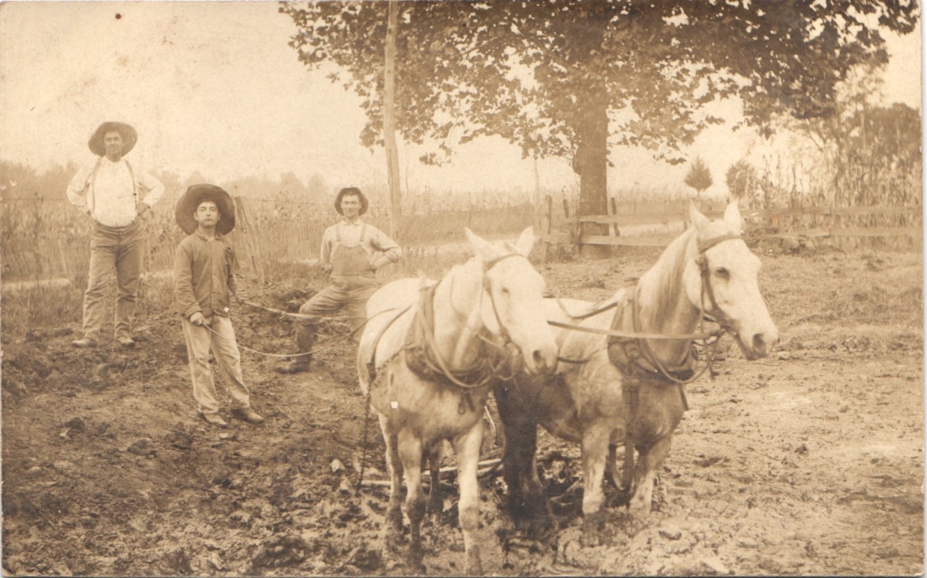 TEAM OF WHITE HORSES TOWING metropolis il. real photo postcard rppc. illinois
