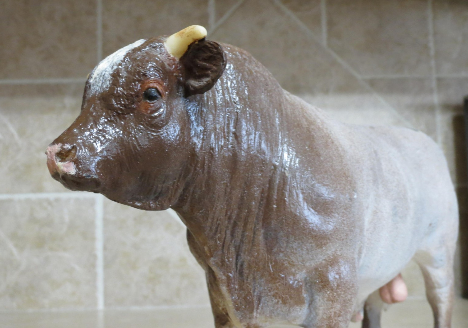 SUPER cool short horn Breyer bull custom on the Charolais mold cow farm vintage SUPER cool short horn Breyer bull custom on the Charolais mold cow farm vintage