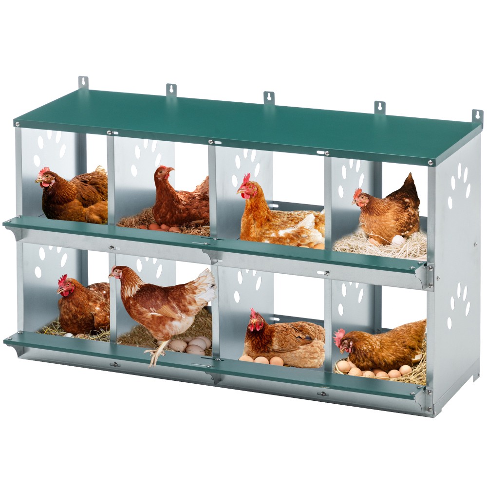 Chicken Nesting Boxes For Hens Laying Eggs Metal Poultry Nest Box 8 Compartments Chicken Nesting Boxes For Hens Laying Eggs Metal Poultry Nest Box 8 Compartments