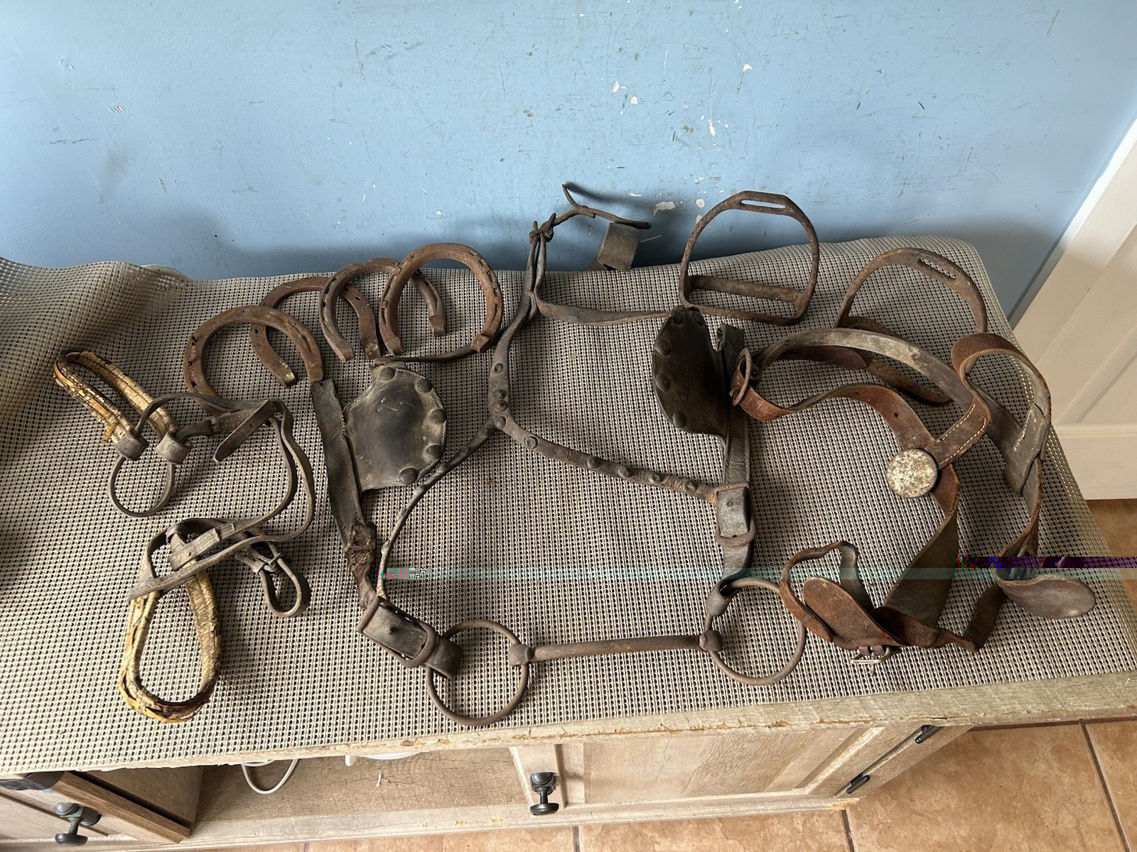 Group of Antique horse equestrian items Group of Antique horse equestrian items