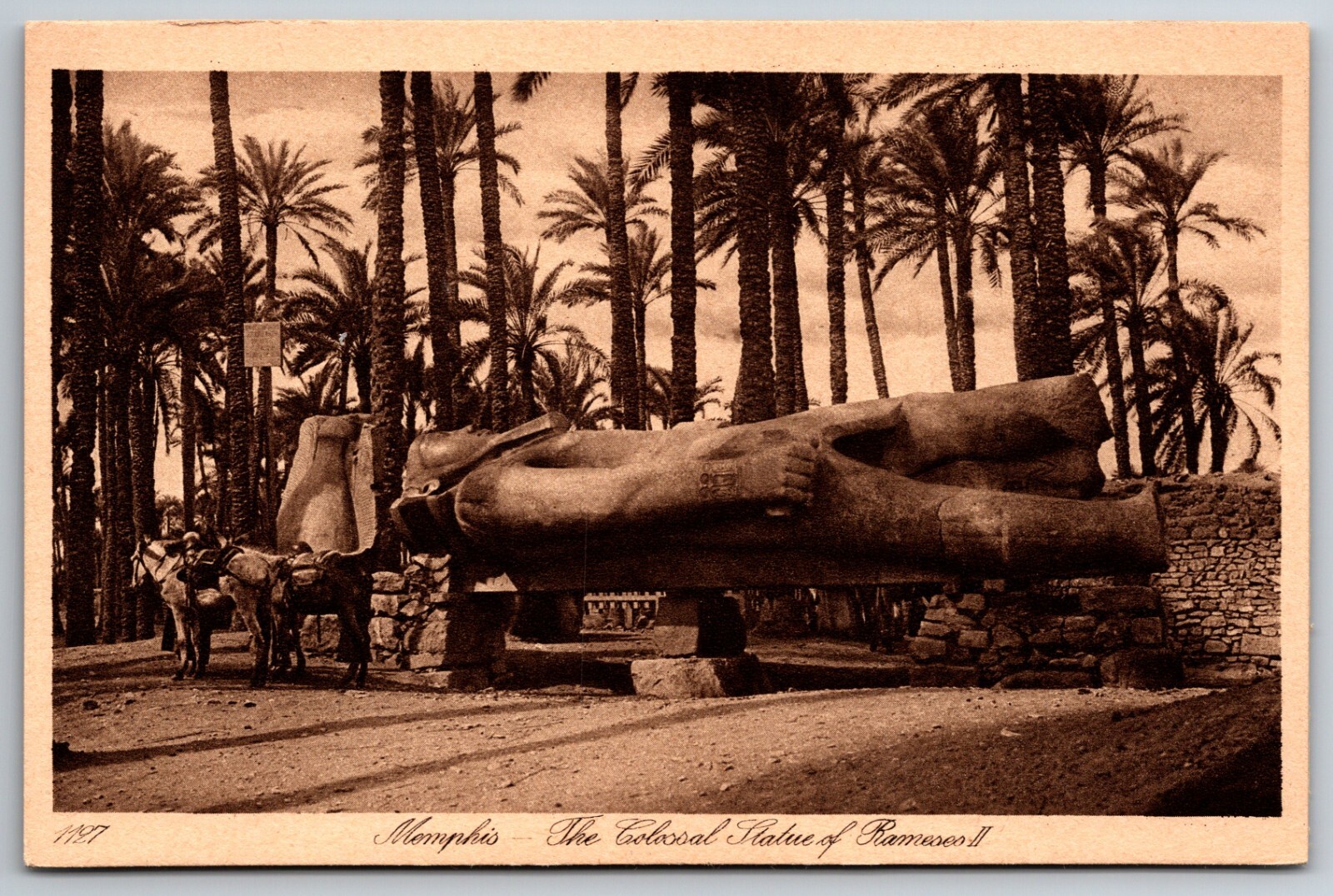 Memphis The Colossal Statue of Ramses II Cairo Egypt Palm Trees Postcard