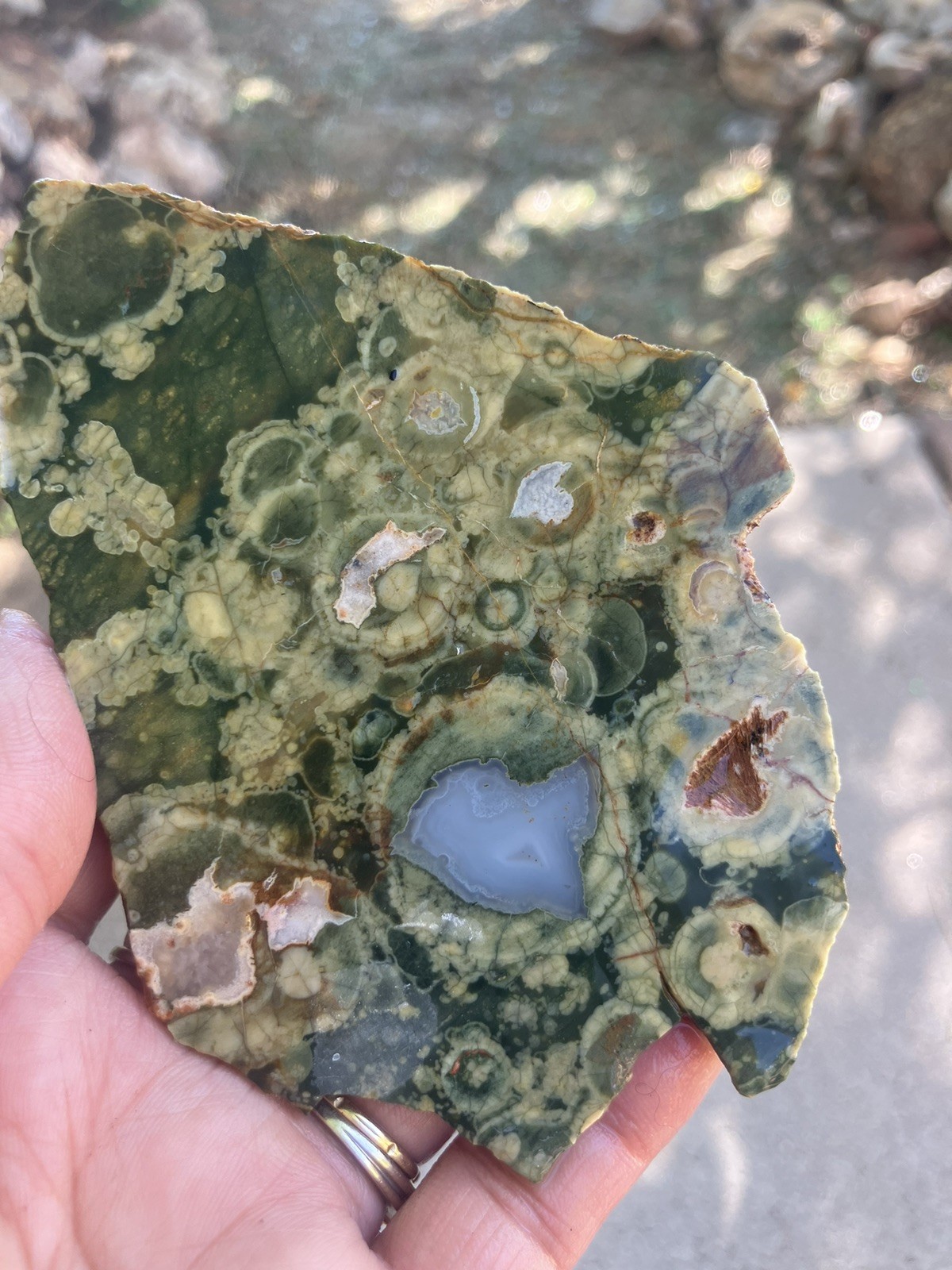 Rainforest Jasper Slab (end Cut)
