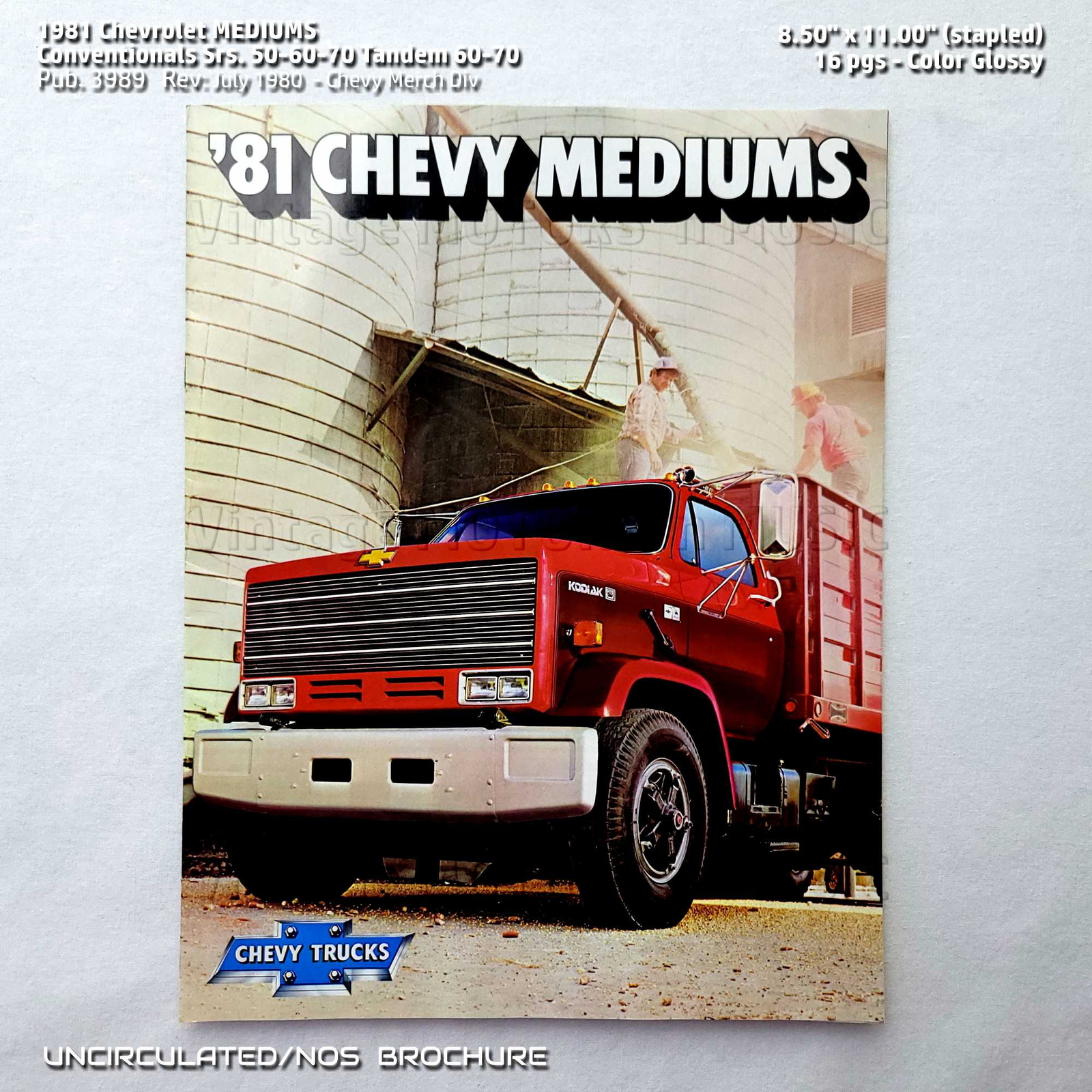 UNCIRCULATED 1981 Chevrolet MEDIUMS Trucks 16 pg Dealer Brochure #3989 Rev 7/80