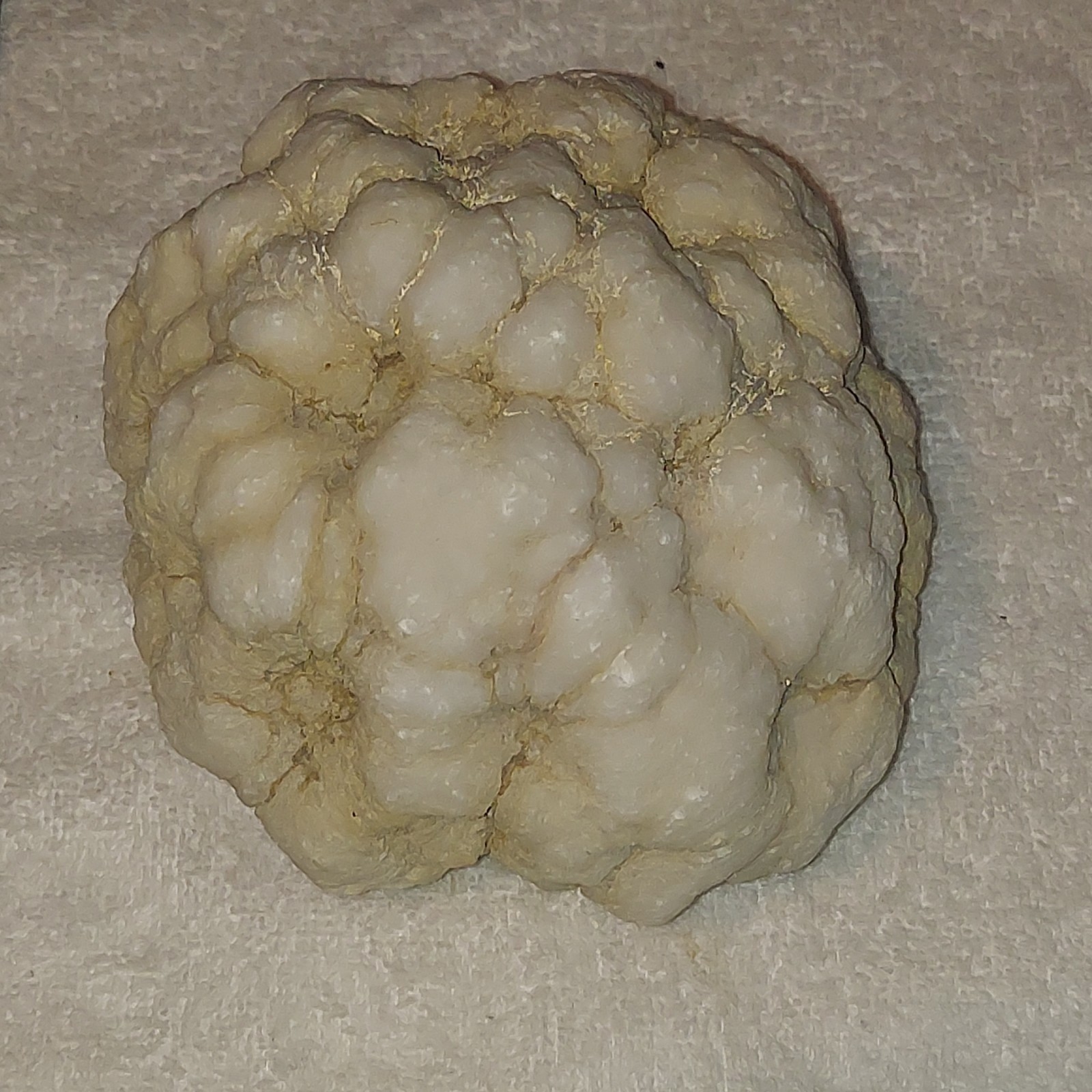 Large Rough Rock Mineral Specimen w/ White Quartz Inclusion, Approx 5 in