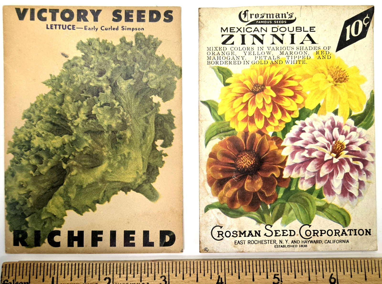 Two 1940s Vintage Seed Packets Unopened Zinnia Flowers Lettuce Victory Crossman