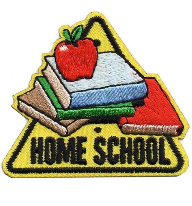 Girl Boy HOME SCHOOL Fun Patches Crest Badge SCOUT GUIDE Learning from Schooling