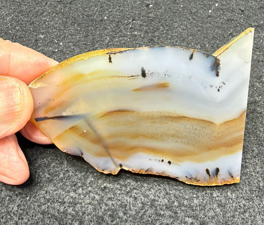 Montana Agate unfinished slab, great for cabbing 2.33oz (#1089) Montana Agate unfinished slab, great for cabbing 2.33oz (#1089)