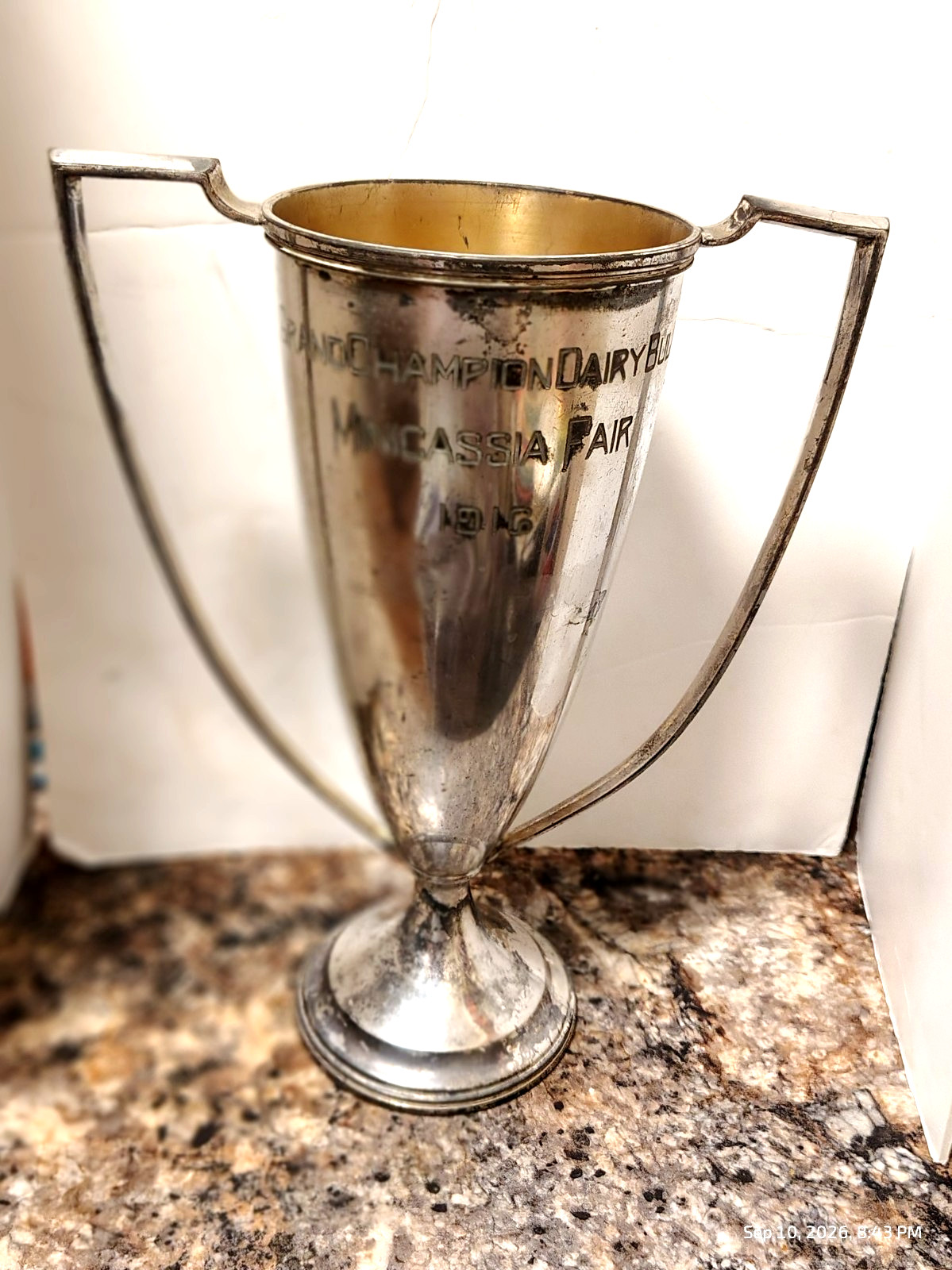 rare grand champion dairy bull minicassia fair 1916 loving cup trophy rare grand champion dairy bull minicassia fair 1916 loving cup trophy
