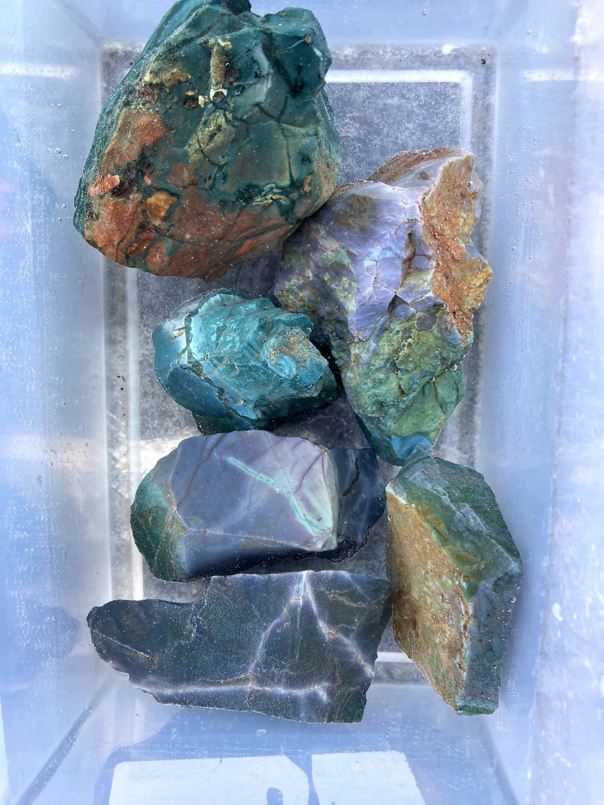 Rare central Oregon old stock Skaggs jasper AAA highest grade gem quality 3#lots