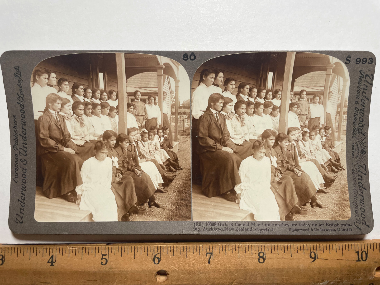 New Zealand Maori girls British training S993 stereoview