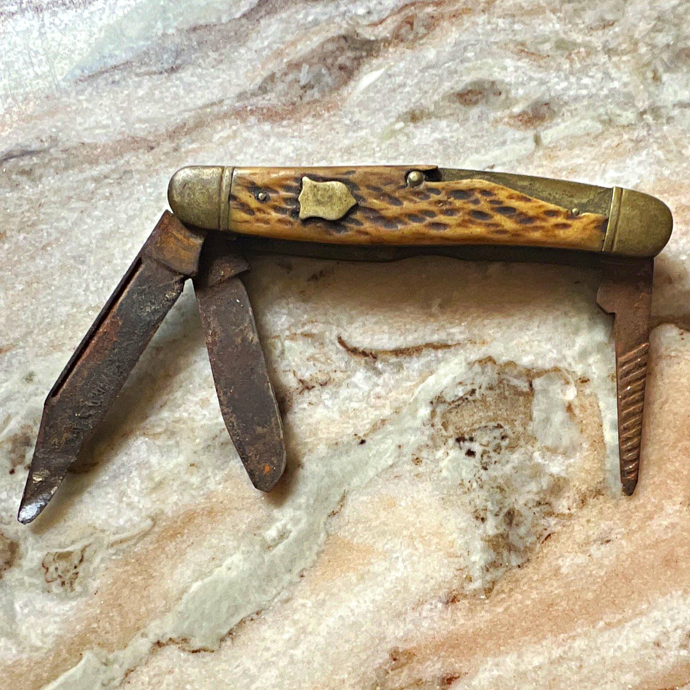 Vintage 2-Blade Slipjoint Pocketknife Bone Handle Carbon Steel w/ Nail File