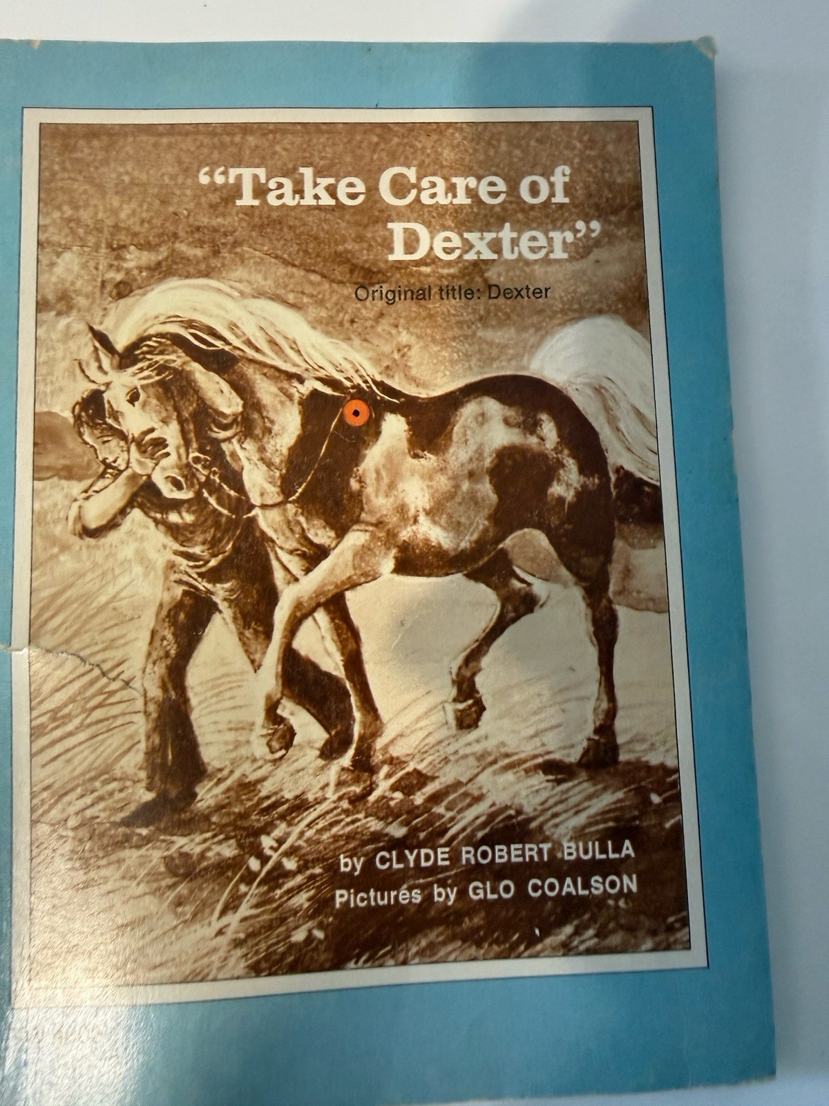 Vintage Horse & Pony Book Lot Thunder Star of Wild Horse Canyon Dexter