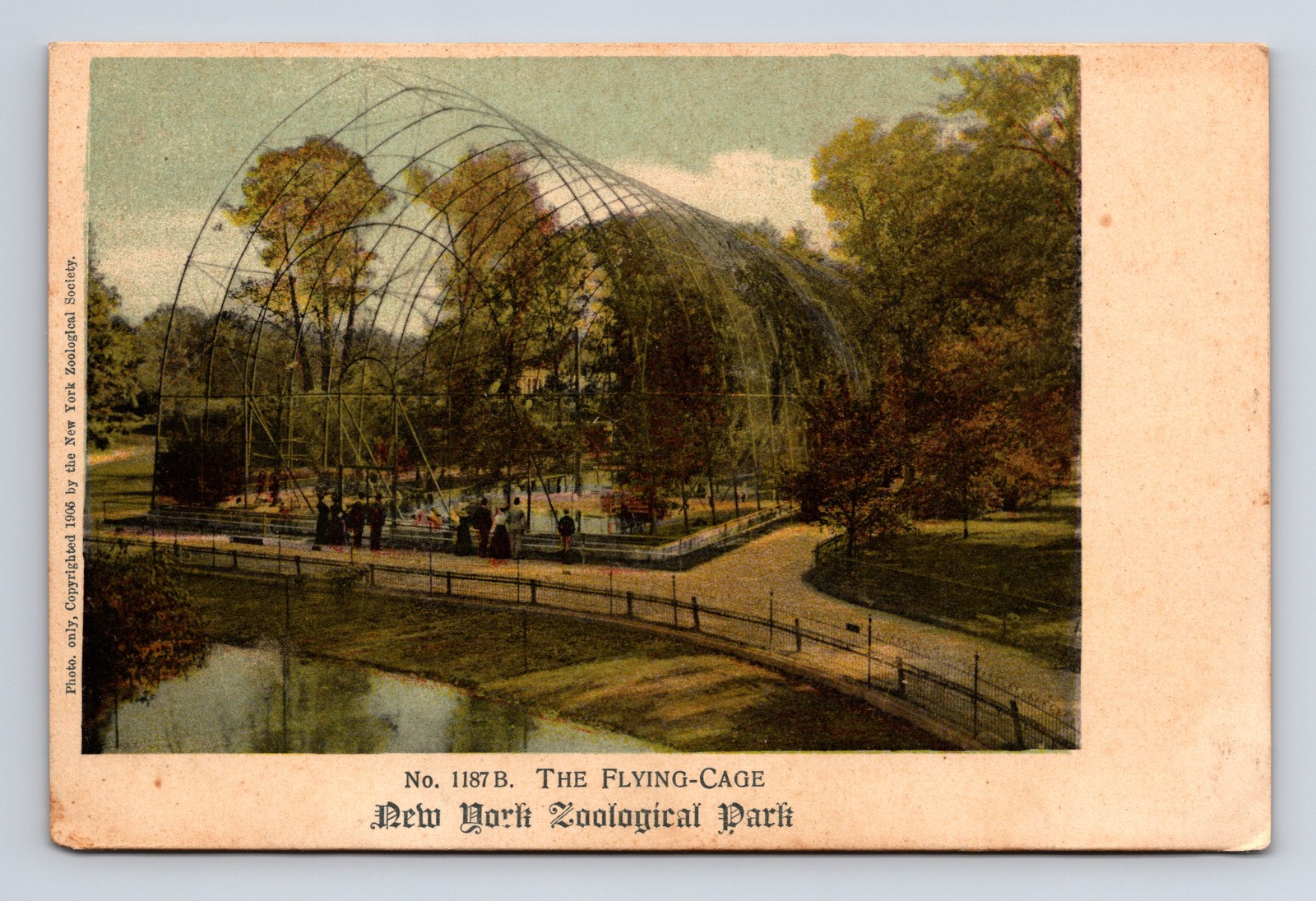 c1905 The Flying Cage Zoological Park Zoo New York New York NY Postcard