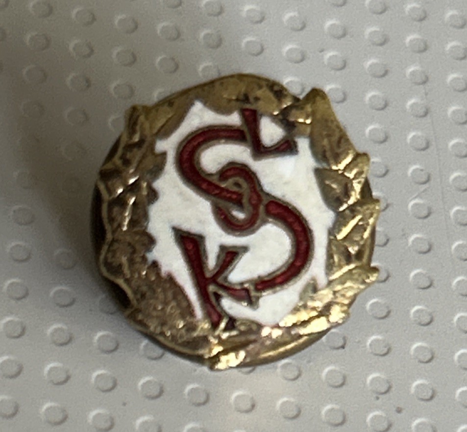✨VINTAGE✨ SKOL SERVICE PIN - Collectors VTG SKOL Member Lapel Pin ✨VINTAGE✨ SKOL SERVICE PIN - Collectors VTG SKOL Member Lapel Pin