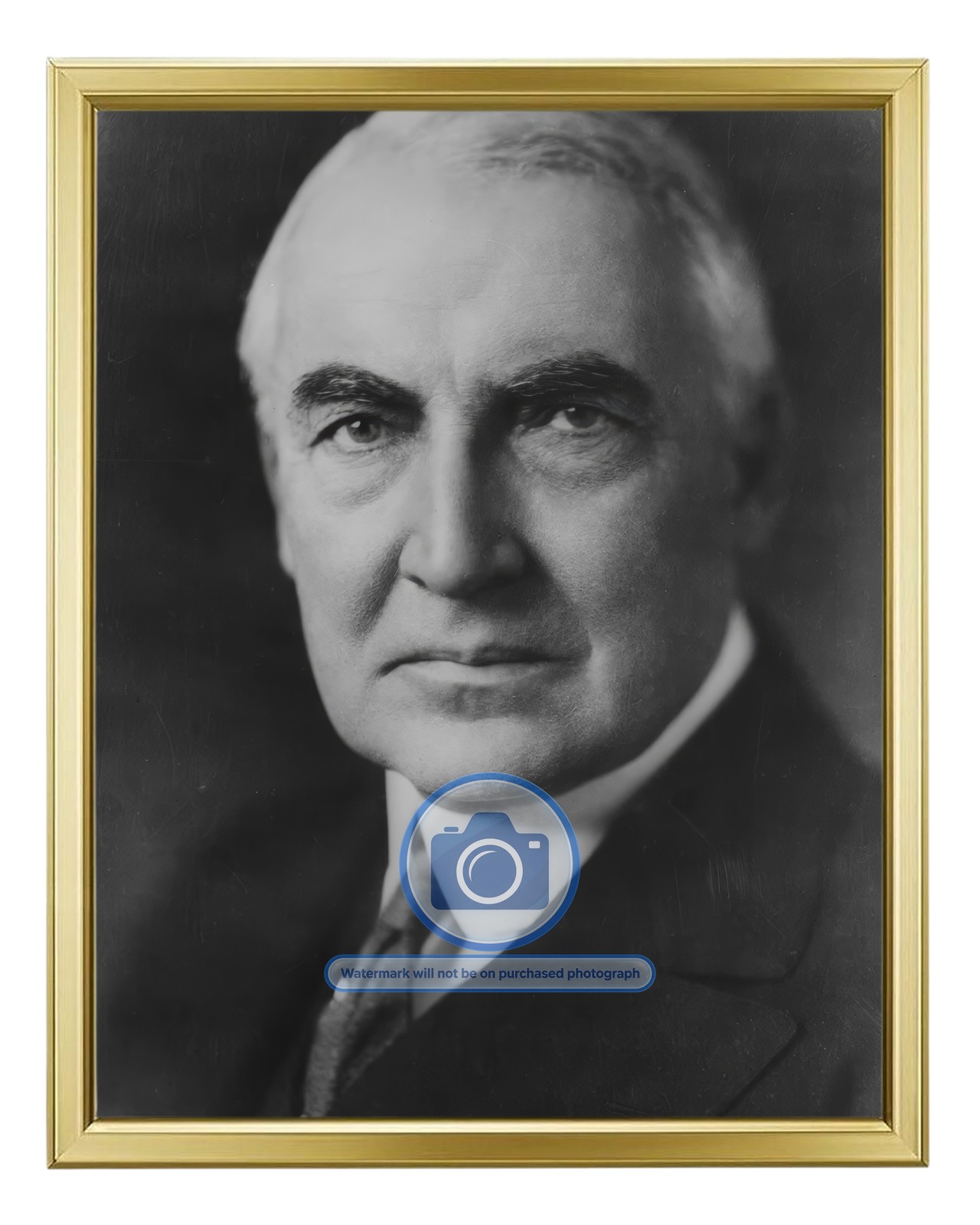 PRESIDENT WARREN G. HARDING 29TH PRESIDENT PORTRAIT B&W 8X10 GOLD FRAMED PHOTO PRESIDENT WARREN G. HARDING 29TH PRESIDENT PORTRAIT B&W 8X10 GOLD FRAMED PHOTO