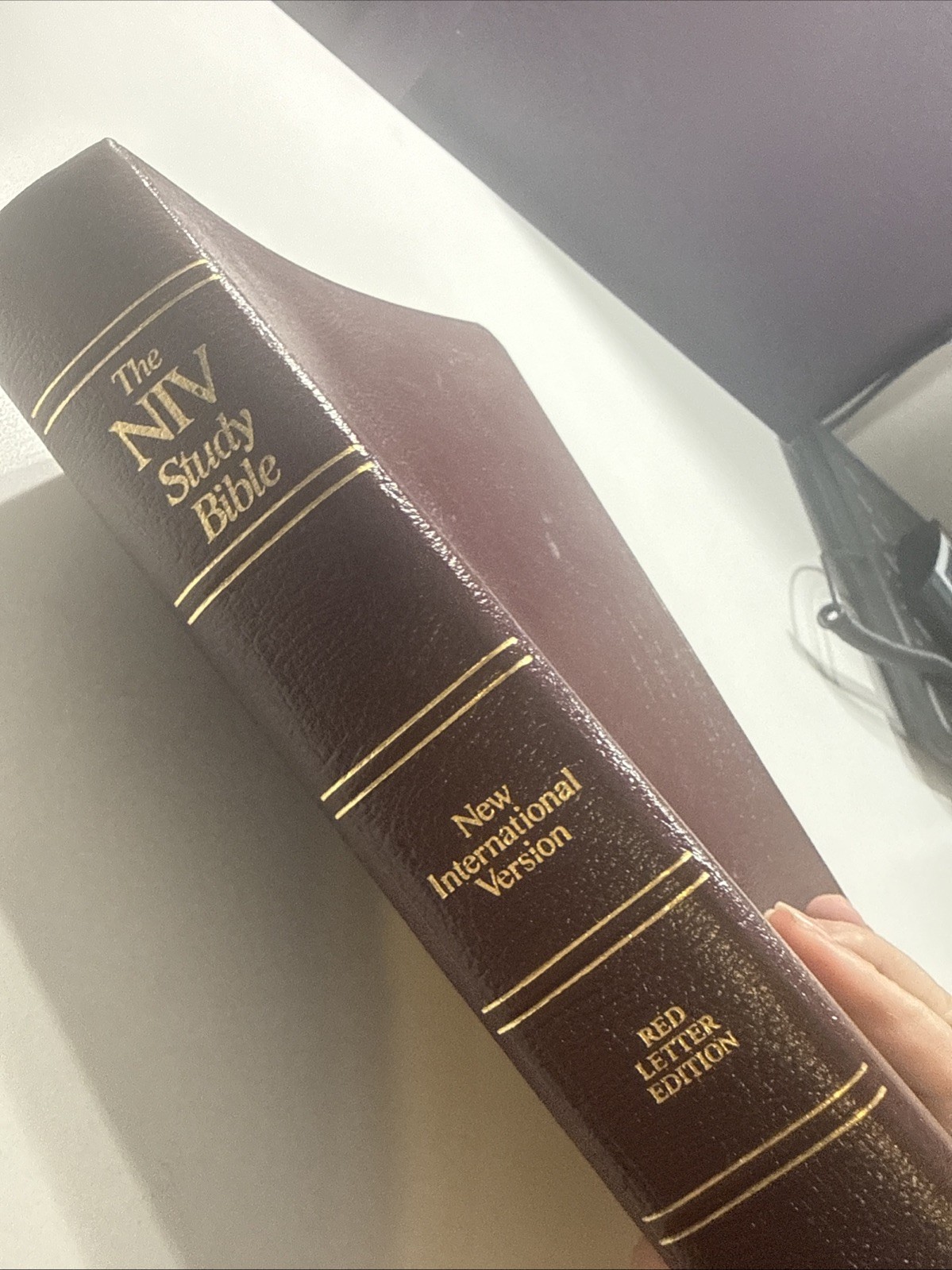Zondervan NIV Study Bible Bonded Leather Red Letter Gold Trimmed Pages B7 Zondervan NIV Study Bible Bonded Leather Red Letter Gold Trimmed Pages B7