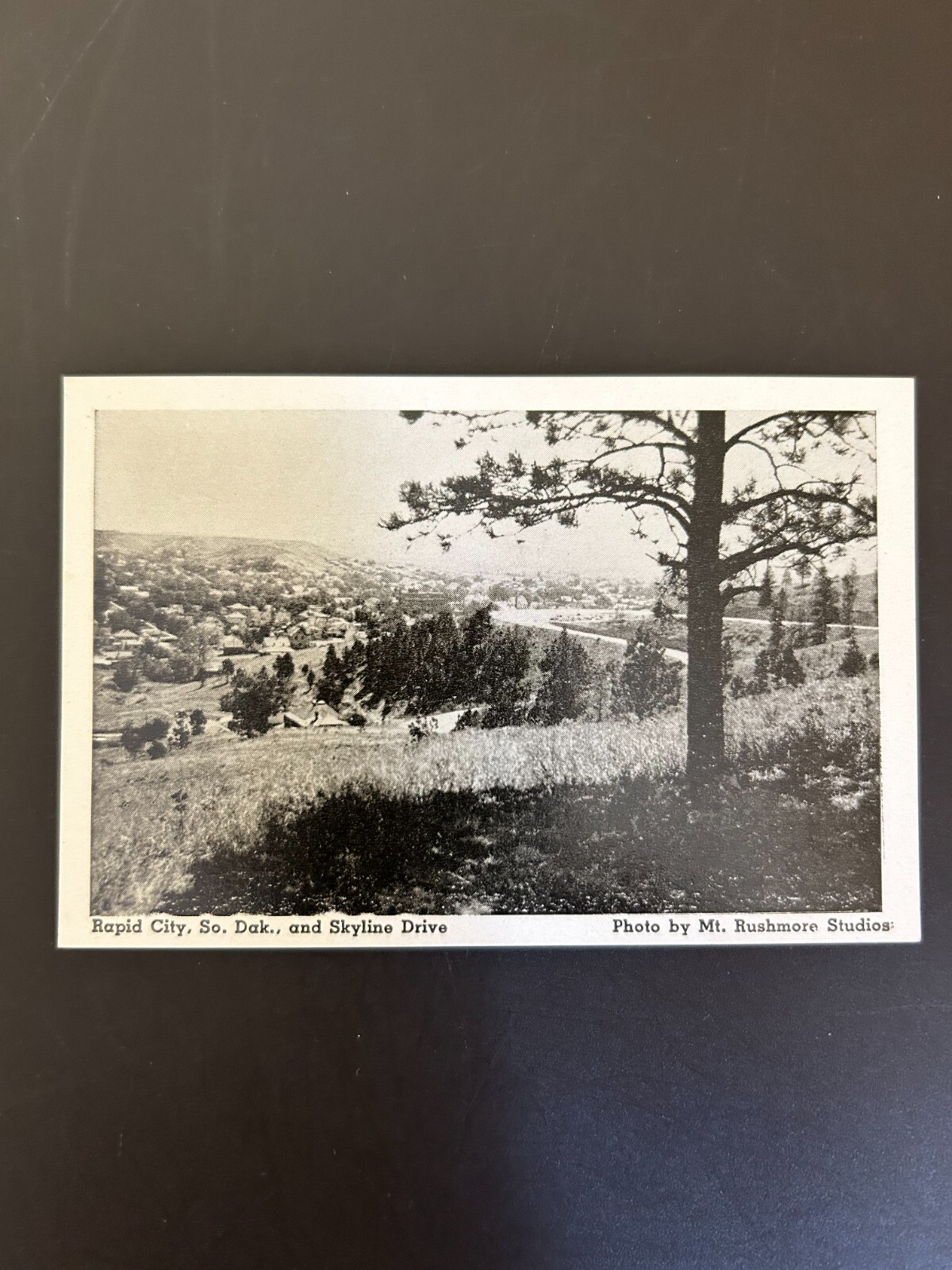 Skyline drive Rapid City South Dakota RPPC Postcard