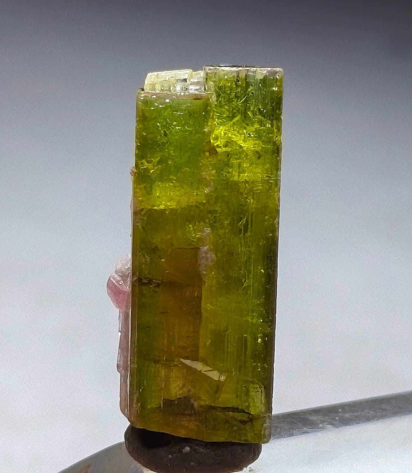 Saturated Top Quailty Stepwise Bi-Colour Tourmaline Crystal From Afghnistan Saturated Top Quailty Stepwise Bi-Colour Tourmaline Crystal From Afghnistan