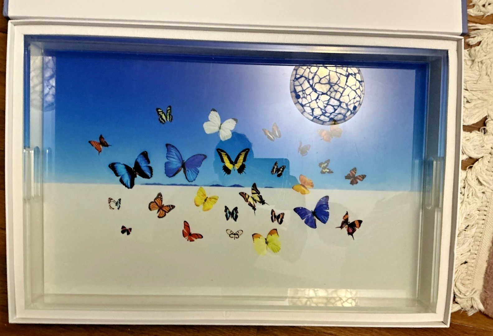 Gray Malin Butterfly 22.5 inch Acrylic Tray NIB