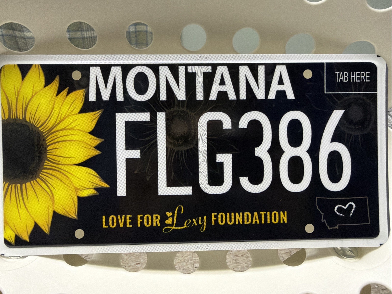 LOVE FOR LEXI FOUNDATION MONTANA LICENSE PLATE FLG386 LOVE FOR LEXI FOUNDATION MONTANA LICENSE PLATE FLG386