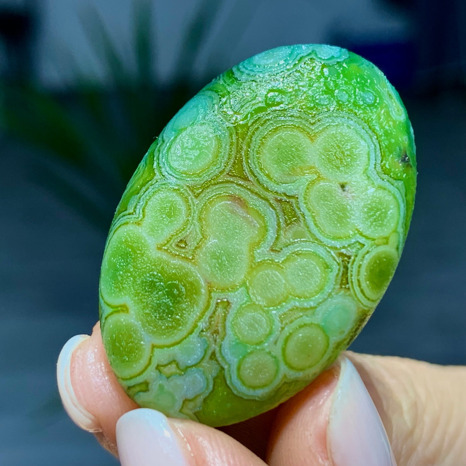 14G  Rare Natural Gobi Agate Eye Agate/Crystal PalmStone Madagascar