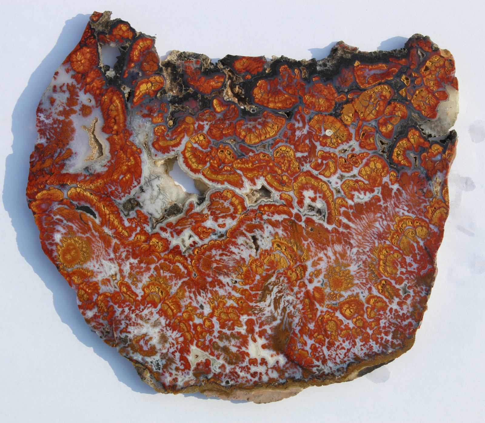 Wingate Pass Plume Agate Slab Wingate Pass Plume Agate Slab