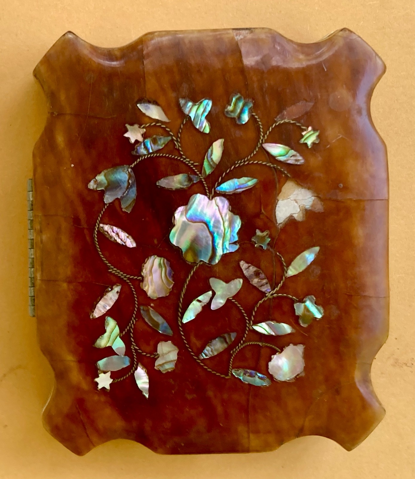 RARE - BEAUTIFUL TORTOISE SHELL CASE ` 1/9 PLATE - EXCELLENT CONDITION RARE - BEAUTIFUL TORTOISE SHELL CASE ` 1/9 PLATE - EXCELLENT CONDITION
