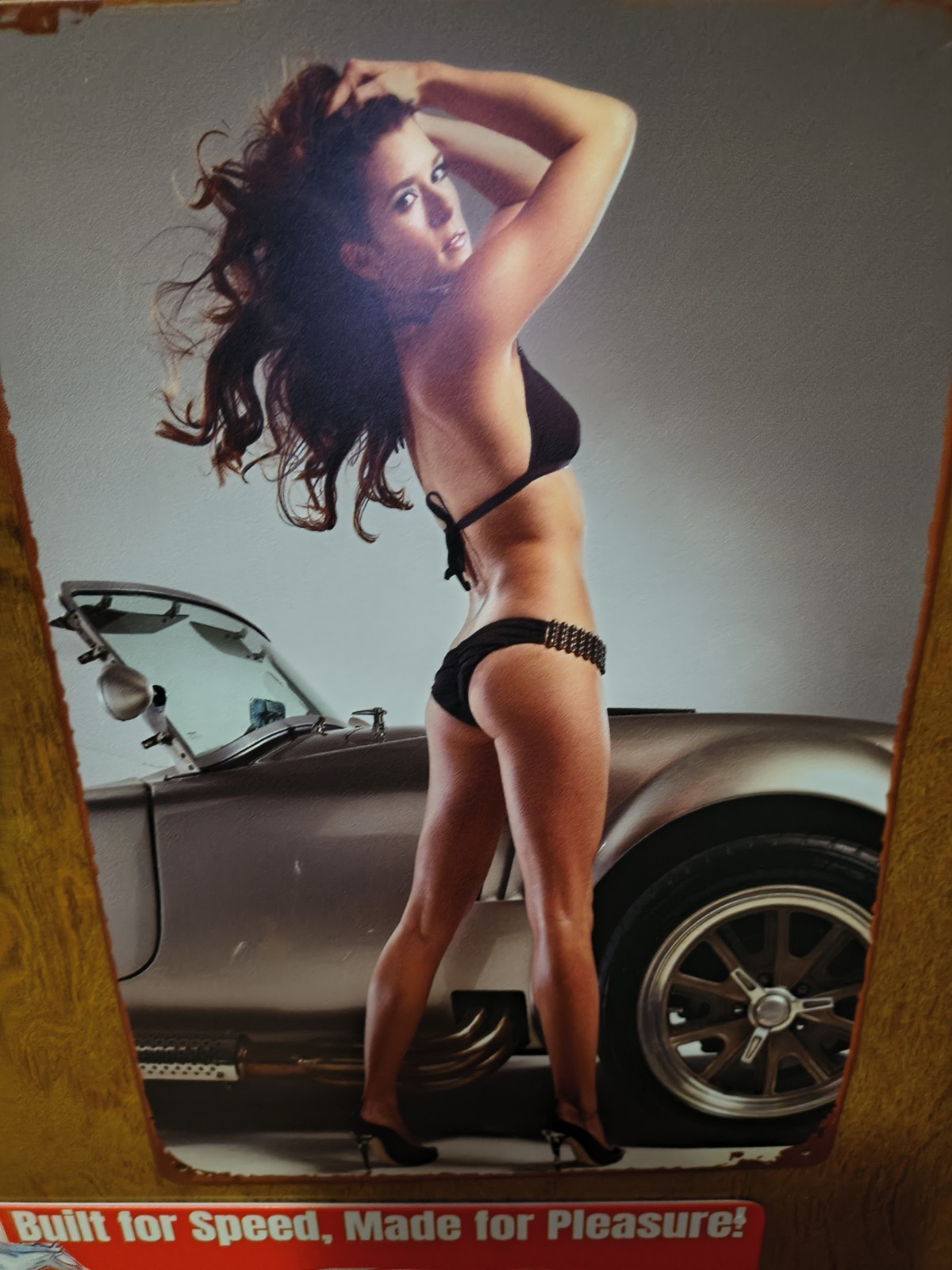 Danica Patrick Bikini Metal Sign With Cobra 12inx8in